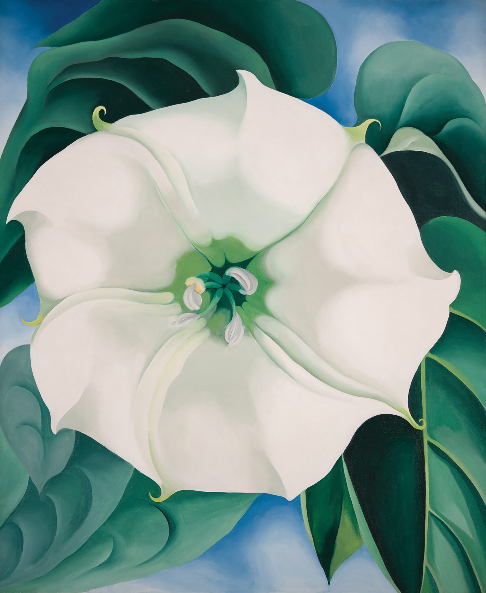 La belleza del día: “Jimson Weed, White Flower No. 1″, de Georgia O&#39;Keeffe  - Infobae