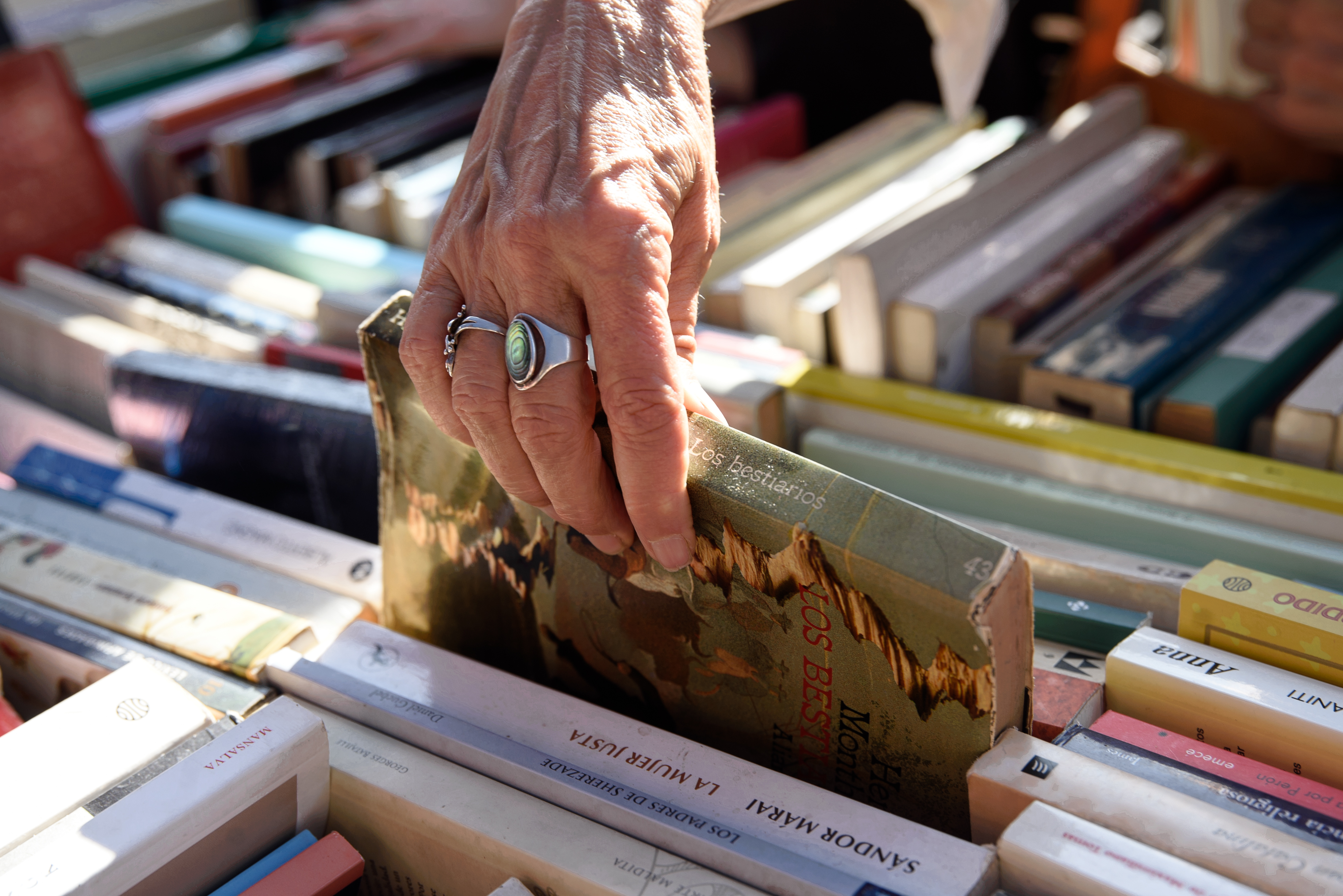 La Fiesta del Libro Usado reunir&aacute; literatura y m&uacute;sica en vivo durante el fin de semana