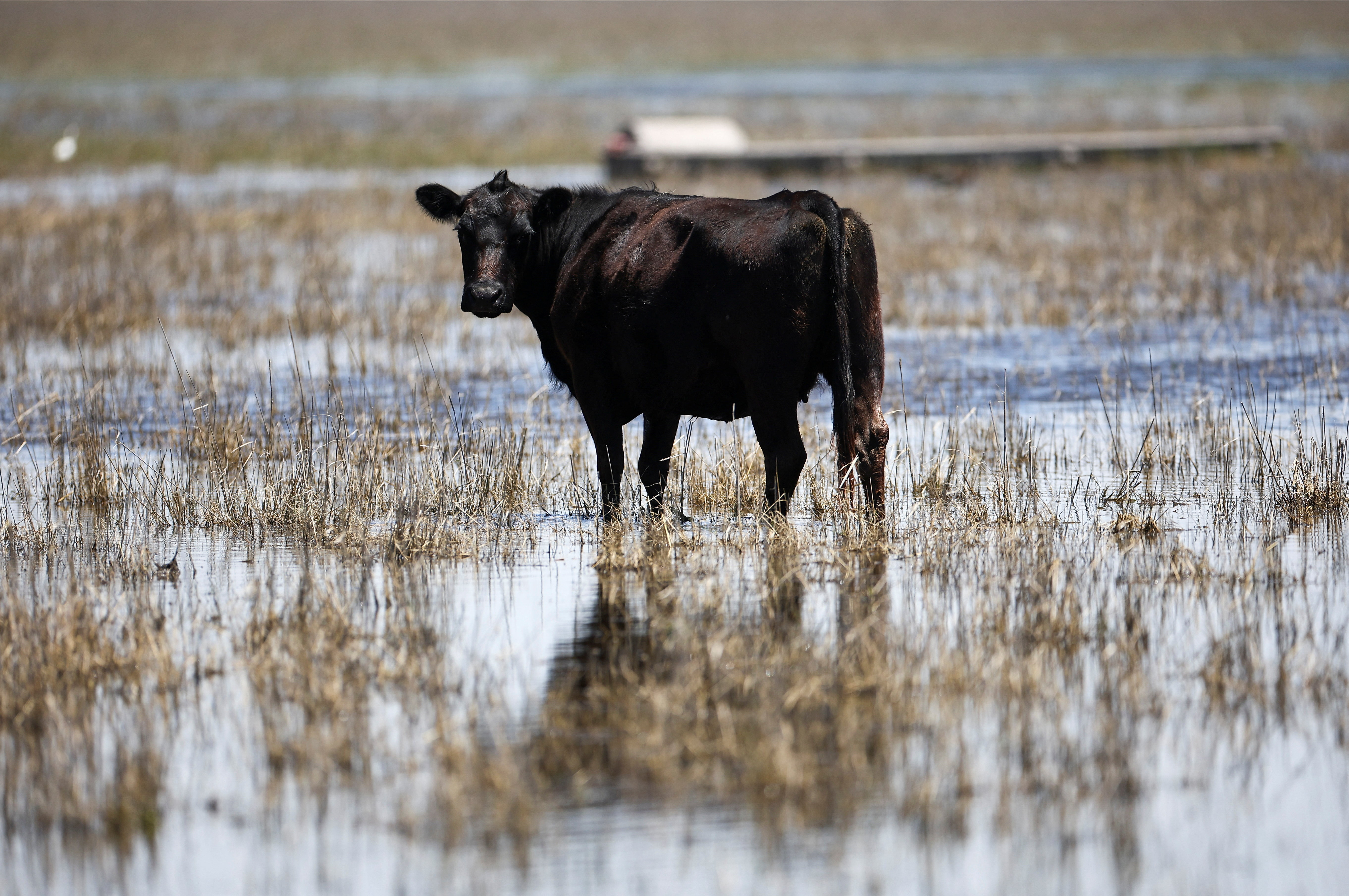 Sequ&iacute;as, inundaciones y desigualdad territorial: los desaf&iacute;os que enfrenta la gesti&oacute;n del agua en la Argentina