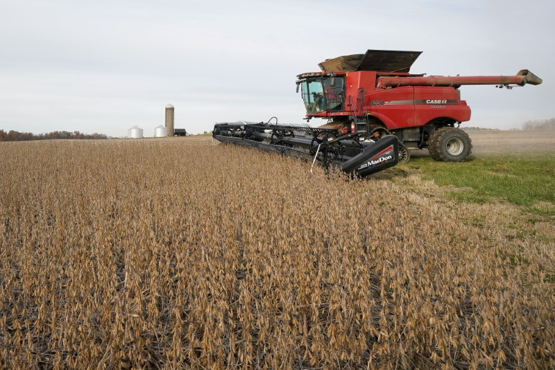 Por la caída de la cosecha, las cerealeras planean vacaciones adelantadas y paradas técnicas de las plantas