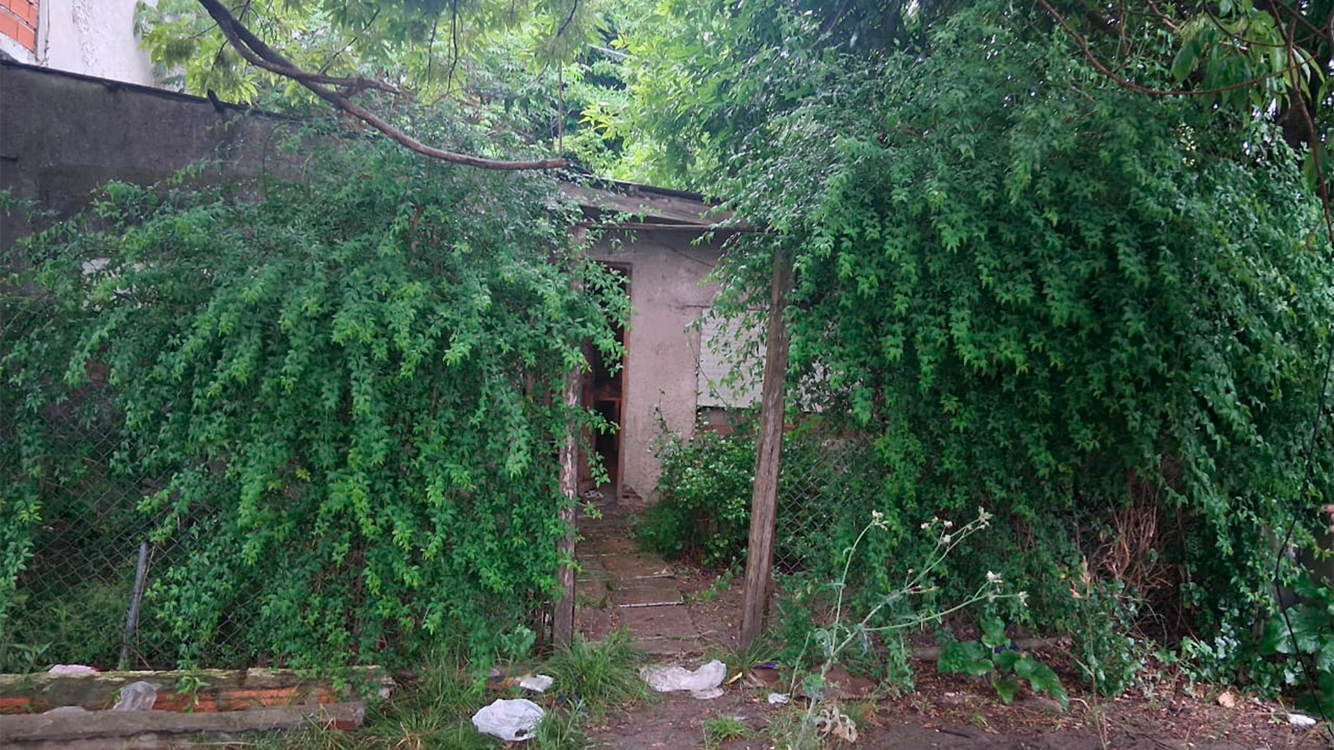 Impulsan en Diputados un proyecto para agilizar las búsquedas de personas desaparecidas