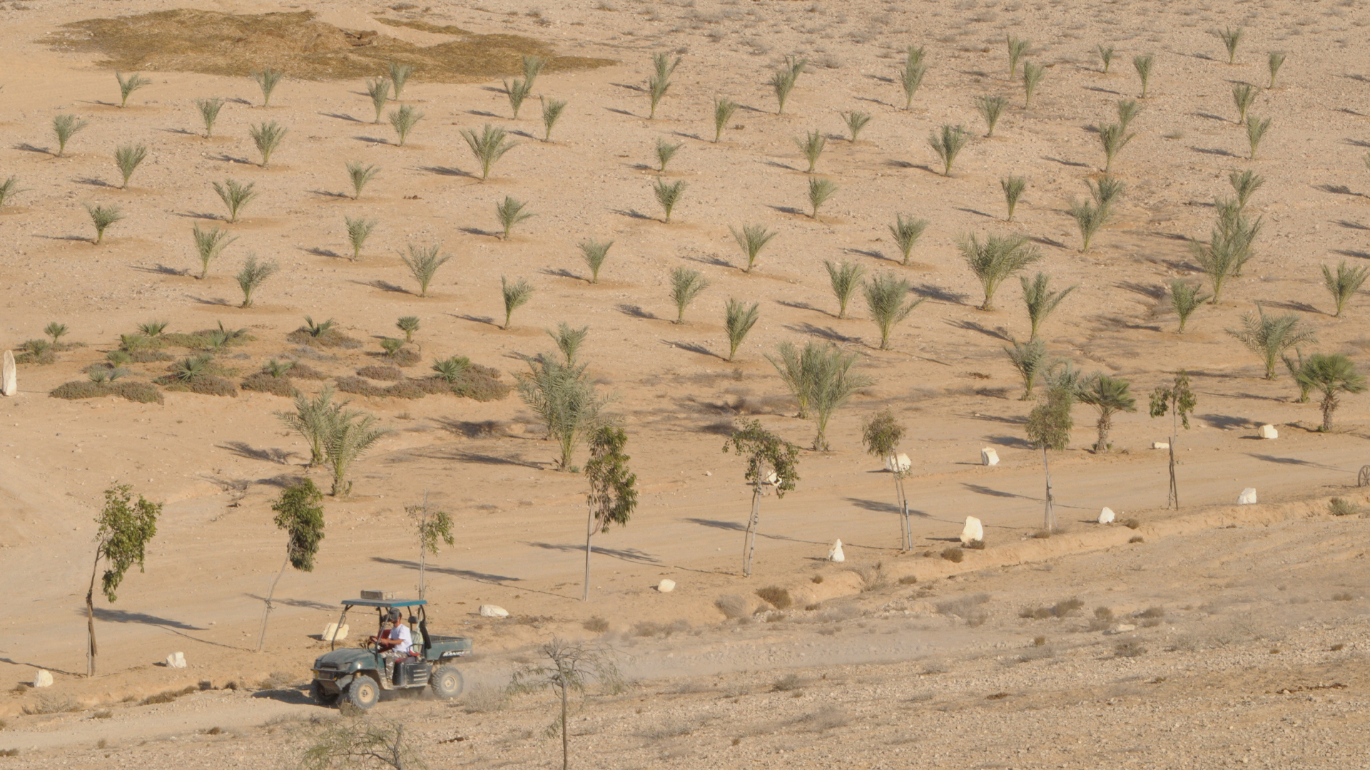 A diferencia de Argentina, el modelo de producción agrícola israelí se desarrollo en una situación permanente de escasez de recursos naturales, como el agua, el suelo y la energía (Fernando Calzada)