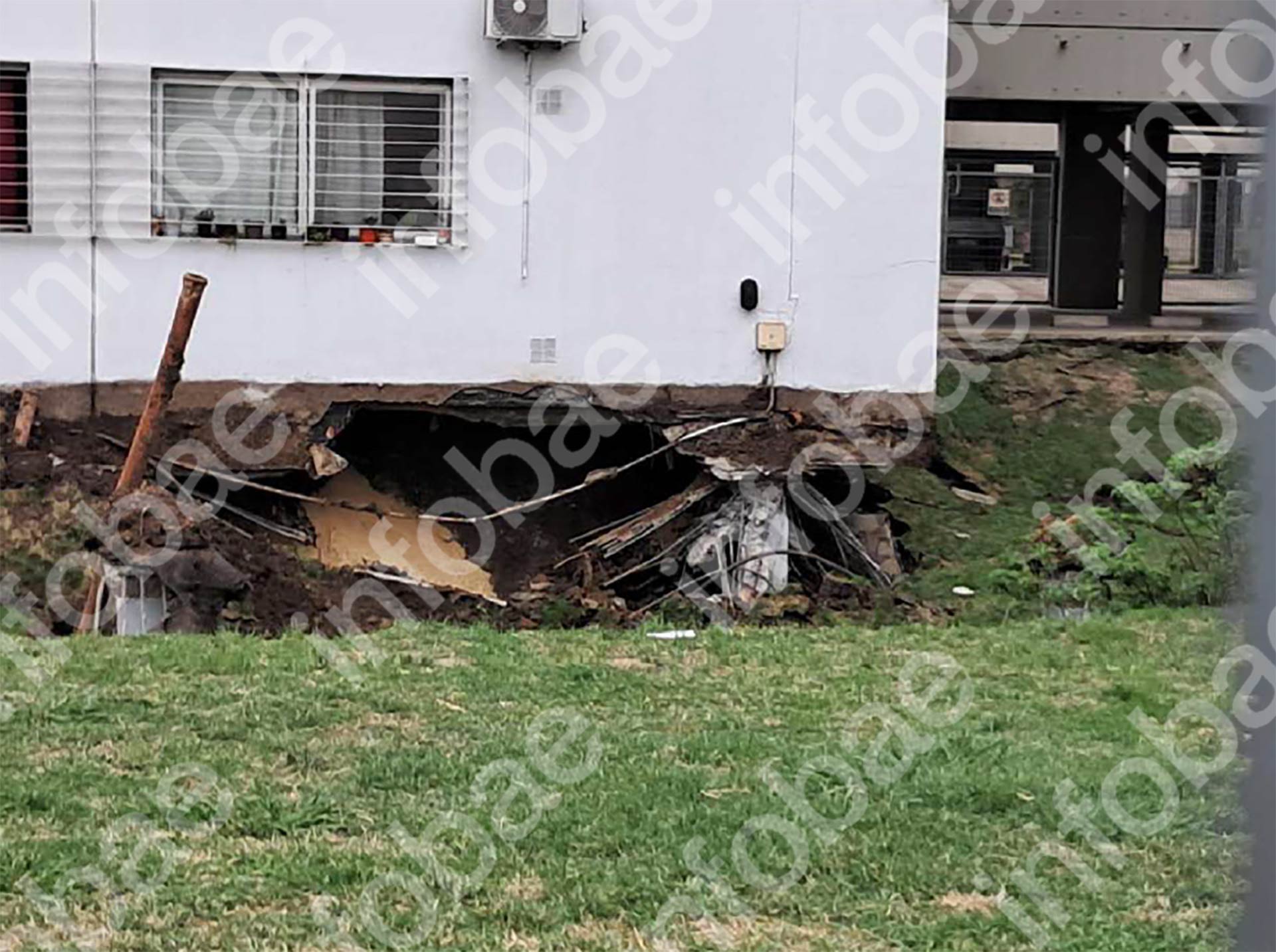Impresionante avistamiento de más de un centenar de tiburones bacota en la costa de Río Negro
