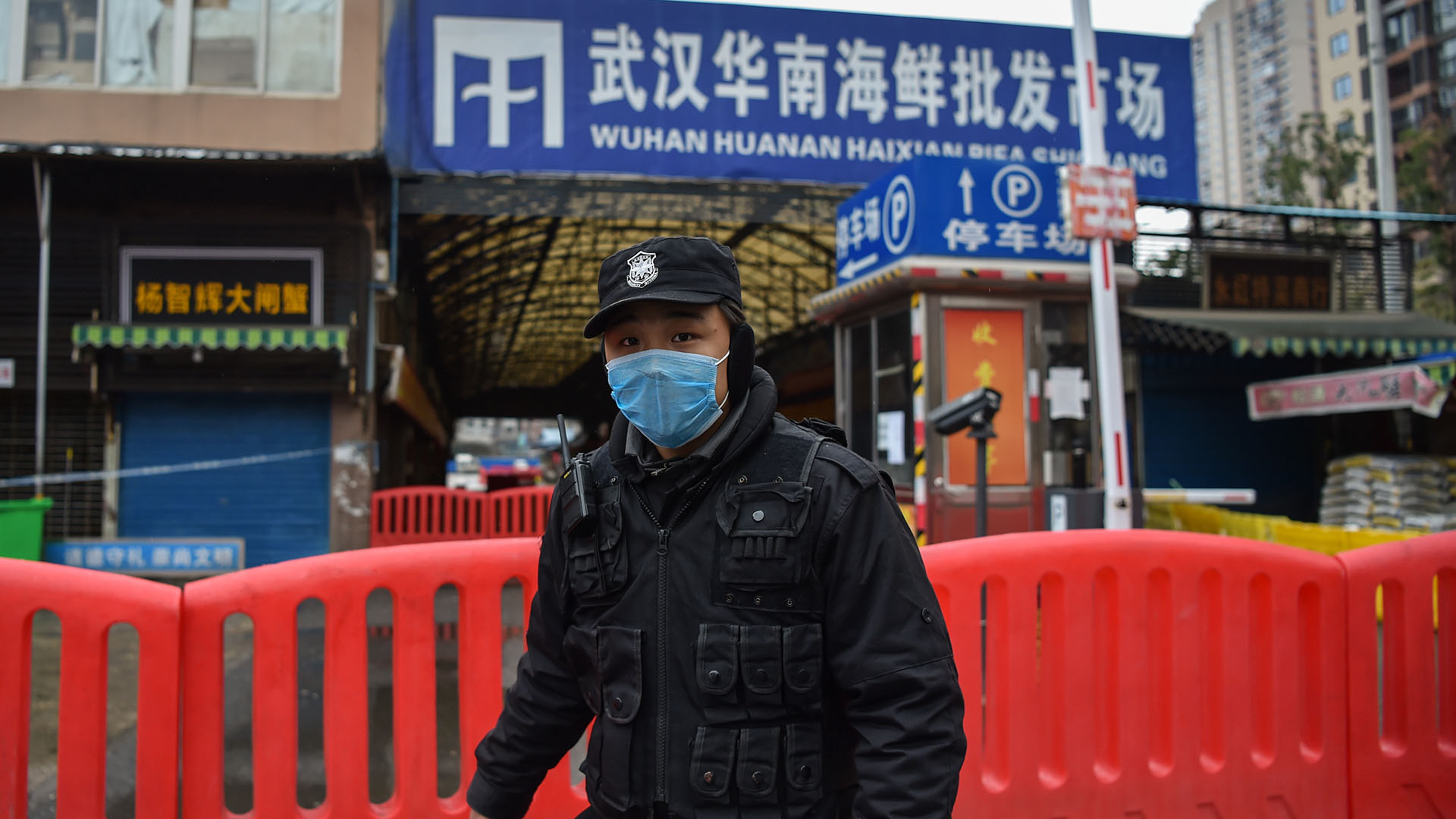 El mercado húmedo de Wuhan donde se venden animales vivos o se sacrifican allí mismo. Se cree que allí podría haber surgido el virus