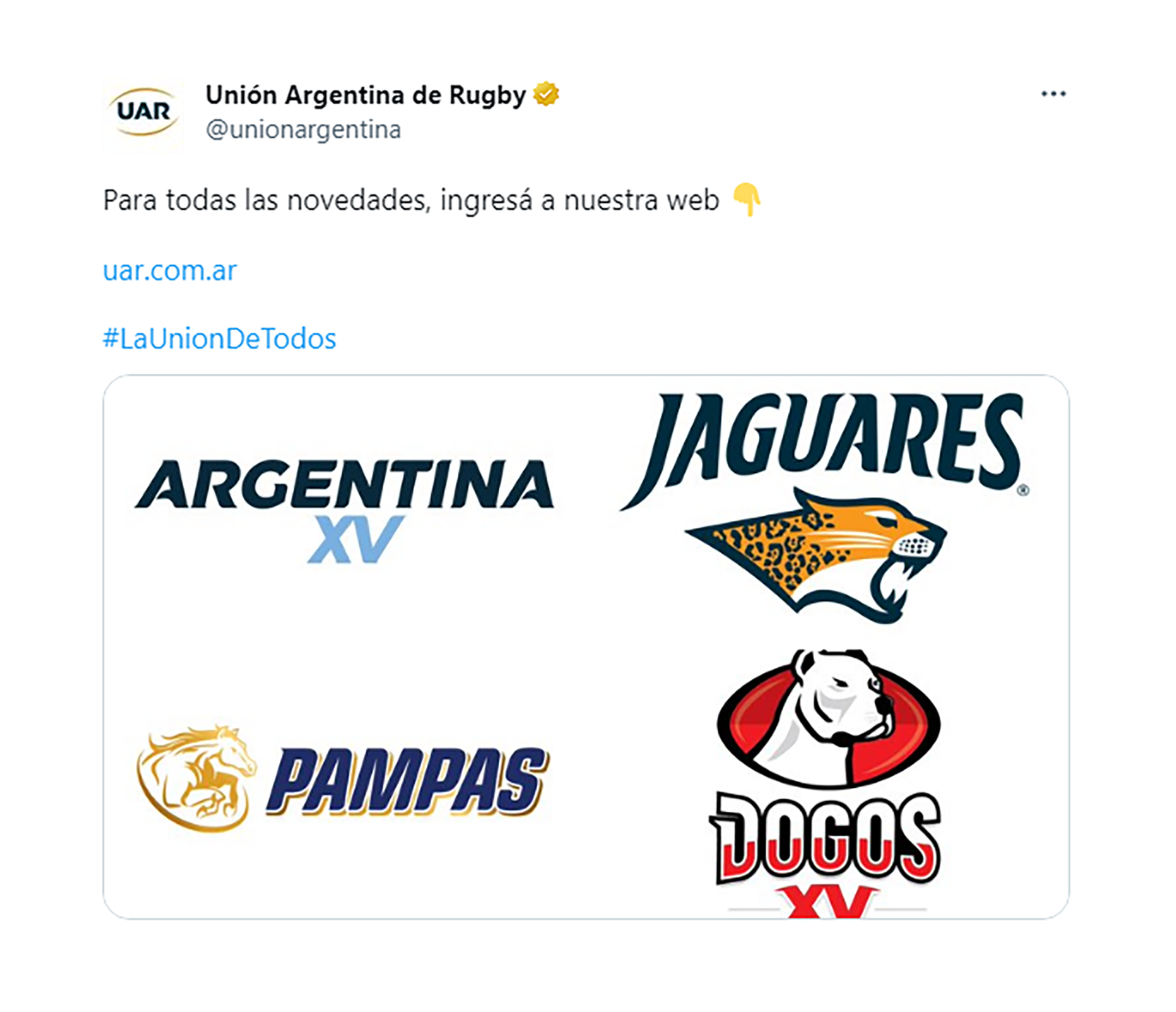 Los nuevos logos de los distintos seleccionados argentinos de rugby que presentó la UAR