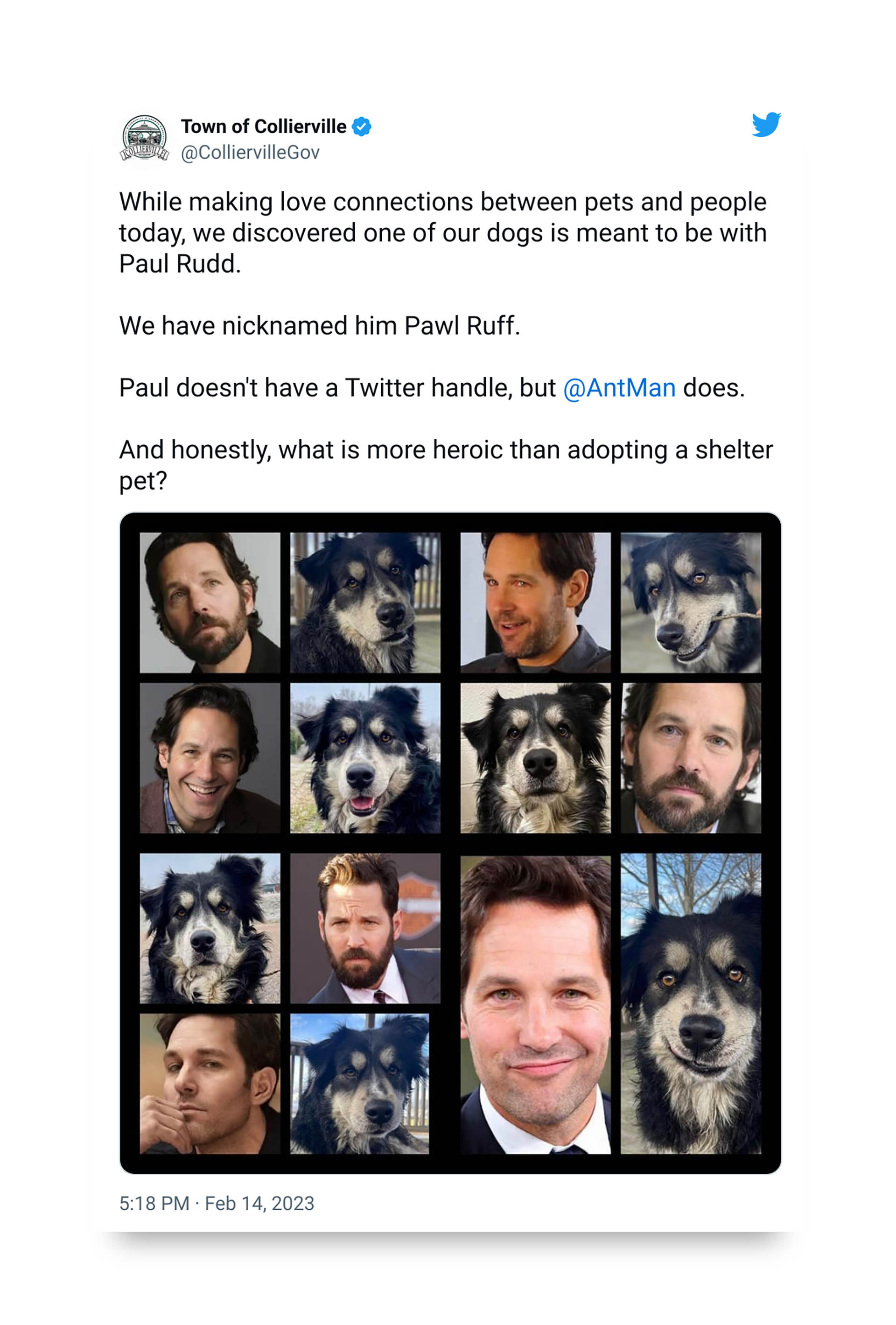 "Ao fazer conexões amorosas entre animais de estimação e pessoas hoje, descobrimos que um de nossos cães está destinado a ficar com Paul Rudd.  Nós o apelidamos de Pawl Ruff.  Paul não tem Twitter, mas @AntMan tem.  E honestamente, o que é mais heróico do que adotar um animal de estimação?"lê o tweet publicado.