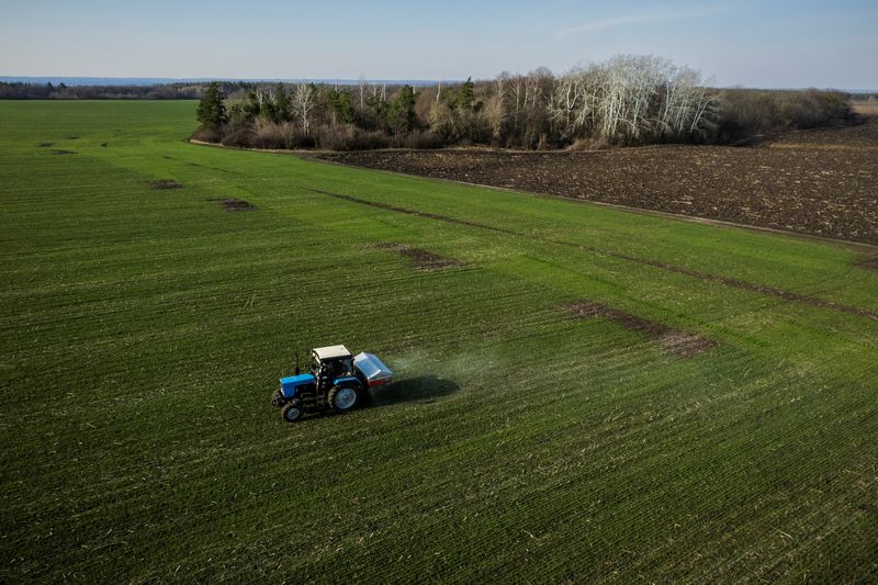 Ucrania y Países Bajos evalúan establecer un corredor humanitario para la exportación de granos y fertilizantes