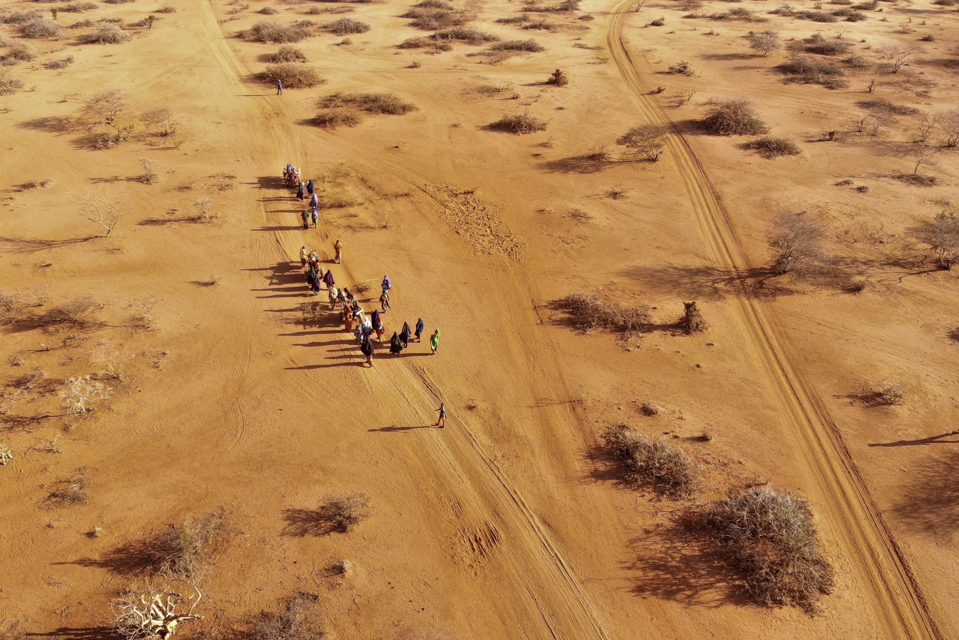 La gente llega a un campamento de desplazados en las afueras de Dollow, Somalia. (Foto AP/Jerome Delay)

