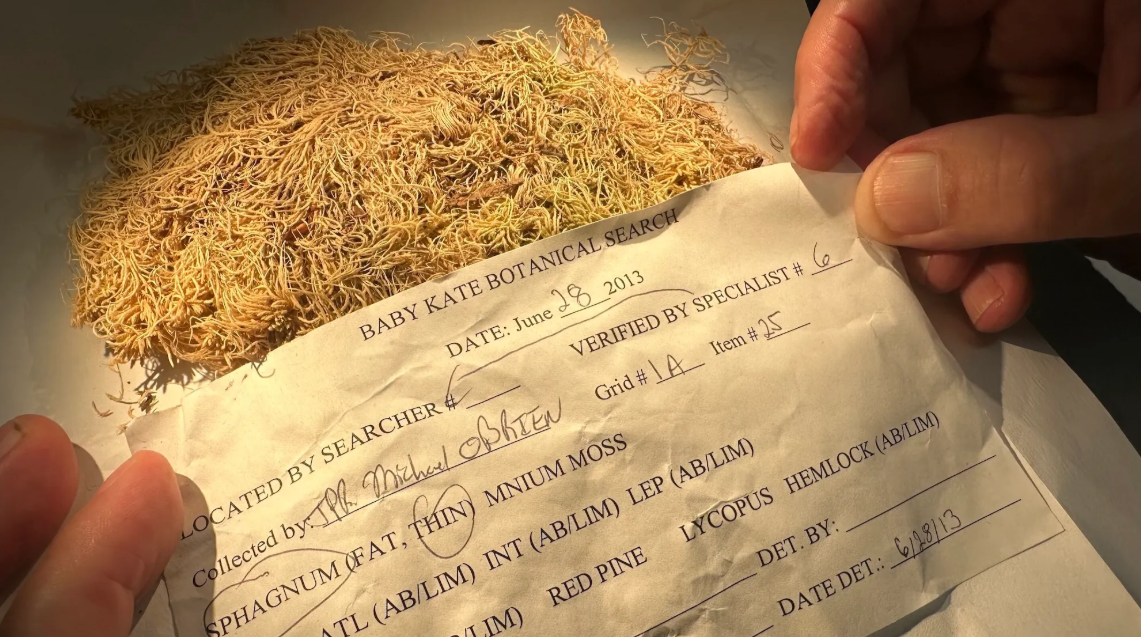 Tras la derrota ante Suiza, cuándo volverán a jugar Las Guerreras en la Billie Jean King Cup