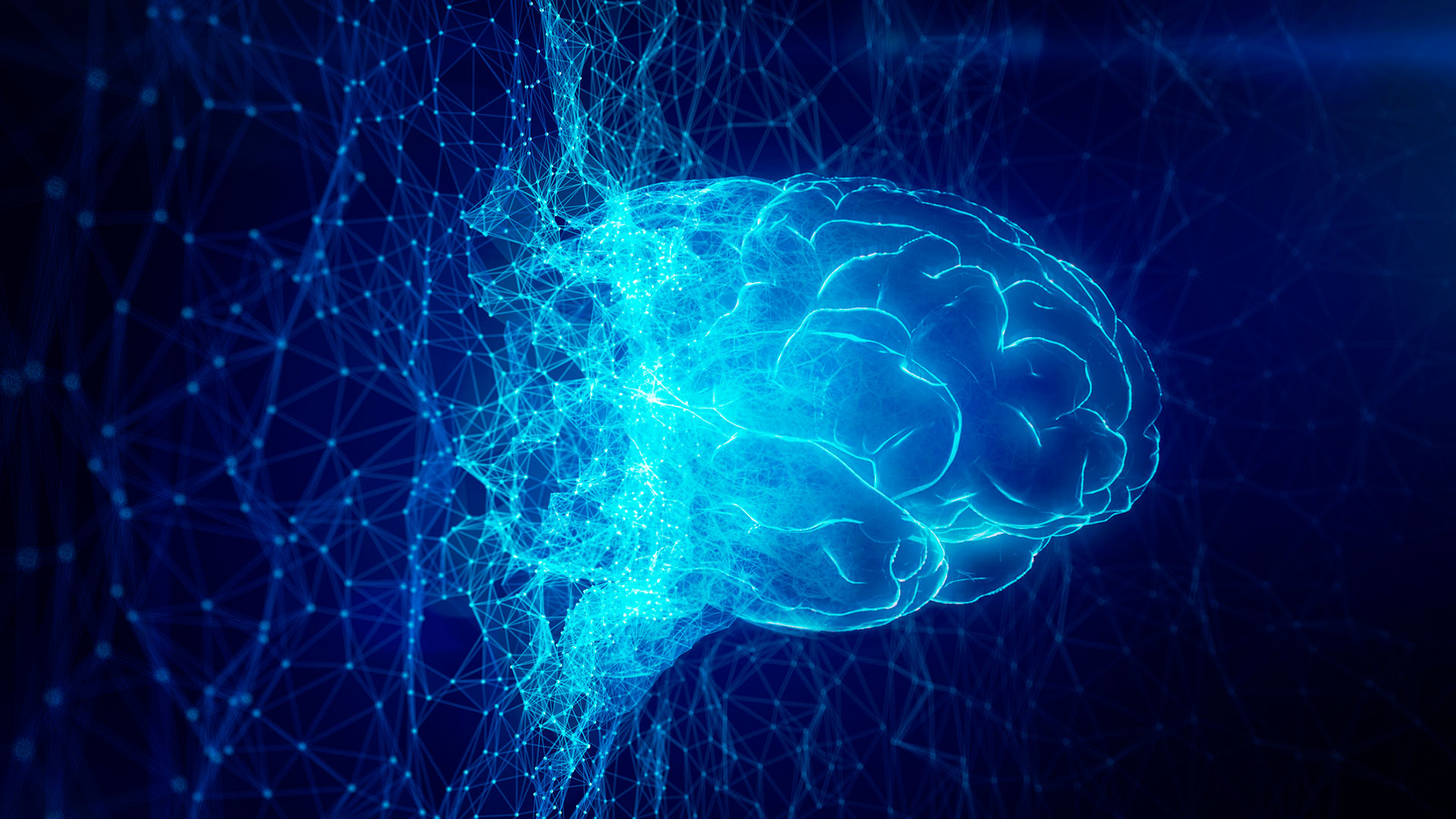 Mediante autopsias, los investigadores examinaron los cerebros de los participantes para determinar la acumulación de amiloide y tau. Ambas proteínas patológicas se encuentran en el cerebro de las personas diagnosticadas de Alzheimer, pero también es posible detectaros en personas de edad avanzada y cognitivamente sanas (Getty Images)