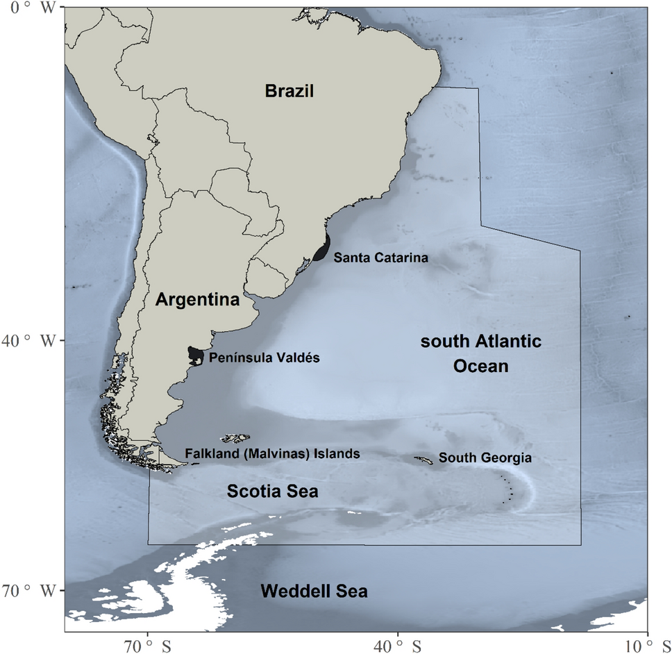Cette carte montre la répartition actuelle des baleines noires dans l'océan Atlantique Sud, selon les chercheurs de Conicet qui ont publié l'étude dans Scientific Reports/