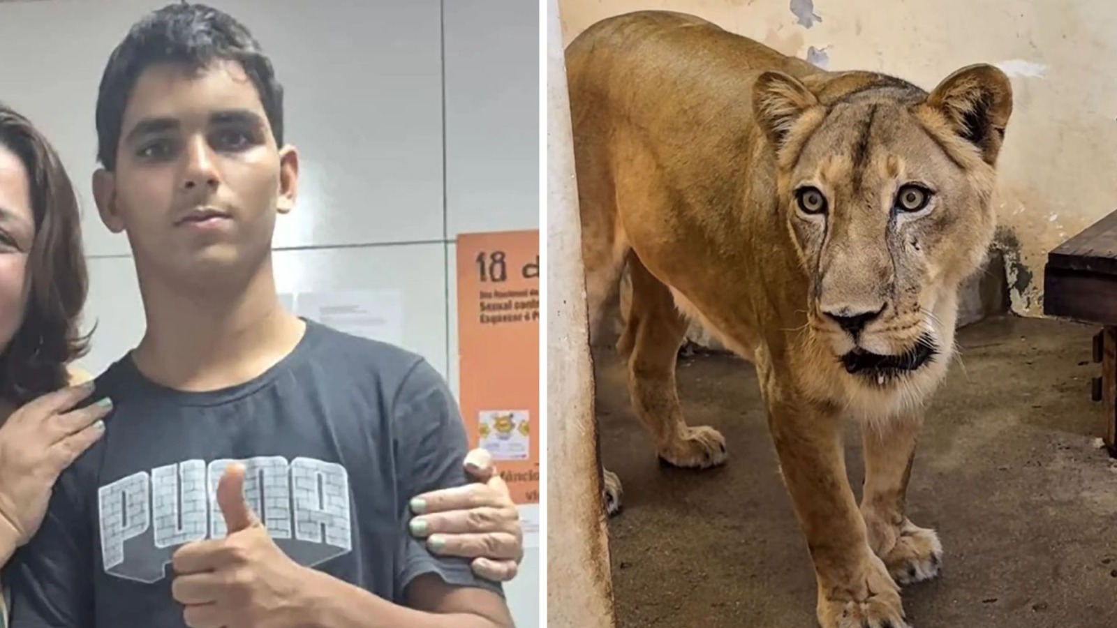 Rodrigo Paz anunció el inicio de la exportación de carne a Egipto y buscará consolidar nuevas relaciones con países de África