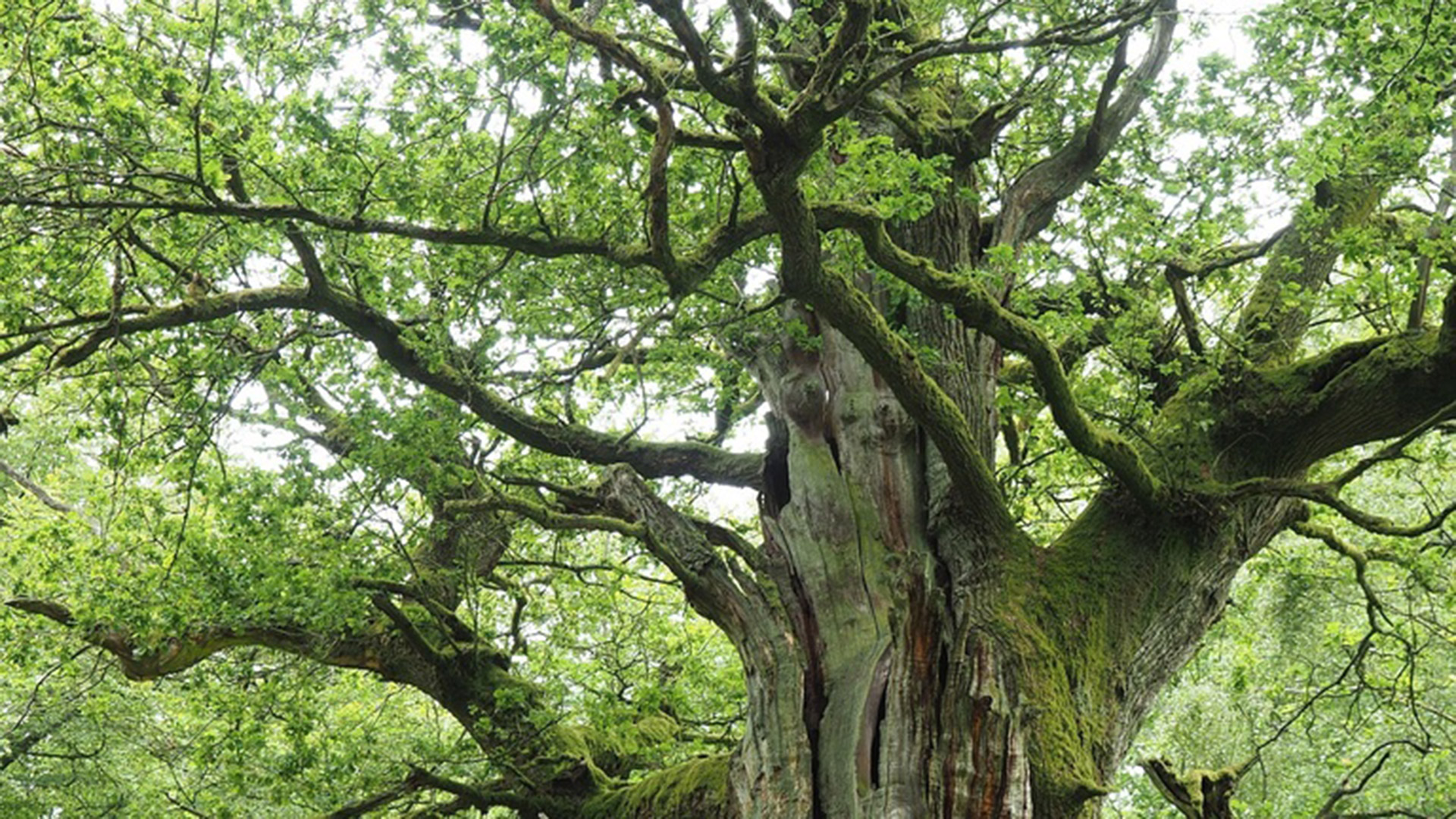 Un experto que accedió al borrador del Gobierno dio detalles del proyecto de reforma laboral
