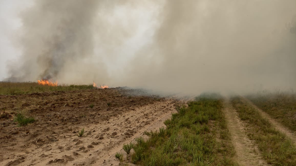 Los incendios se encuentran en diferentes puntos de la provincia de Corrientes
