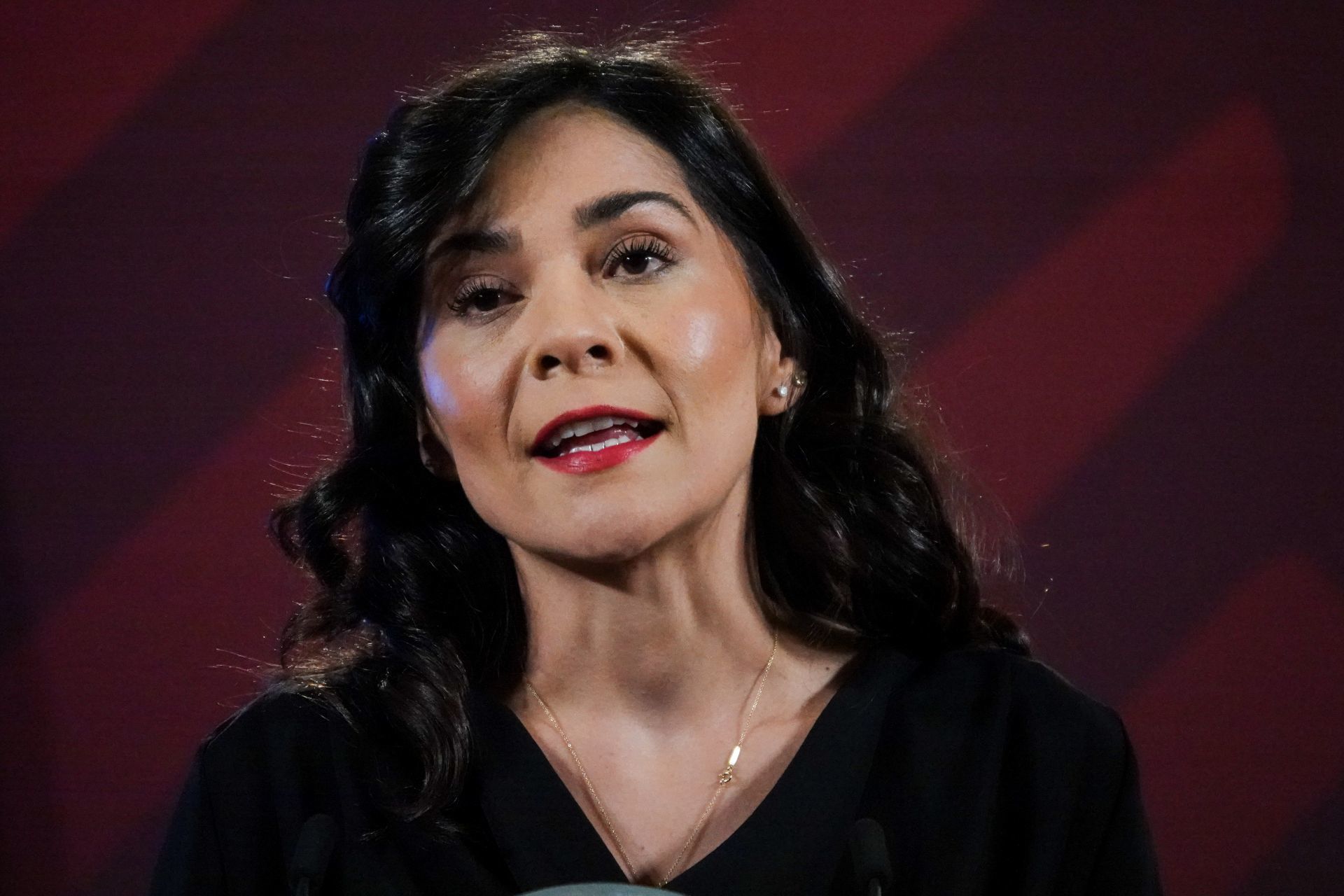 Elizabeth Vilchis ha sido blanco de críticas por su participación en el Quién es quién de las mentiras. (Cuartoscuro)