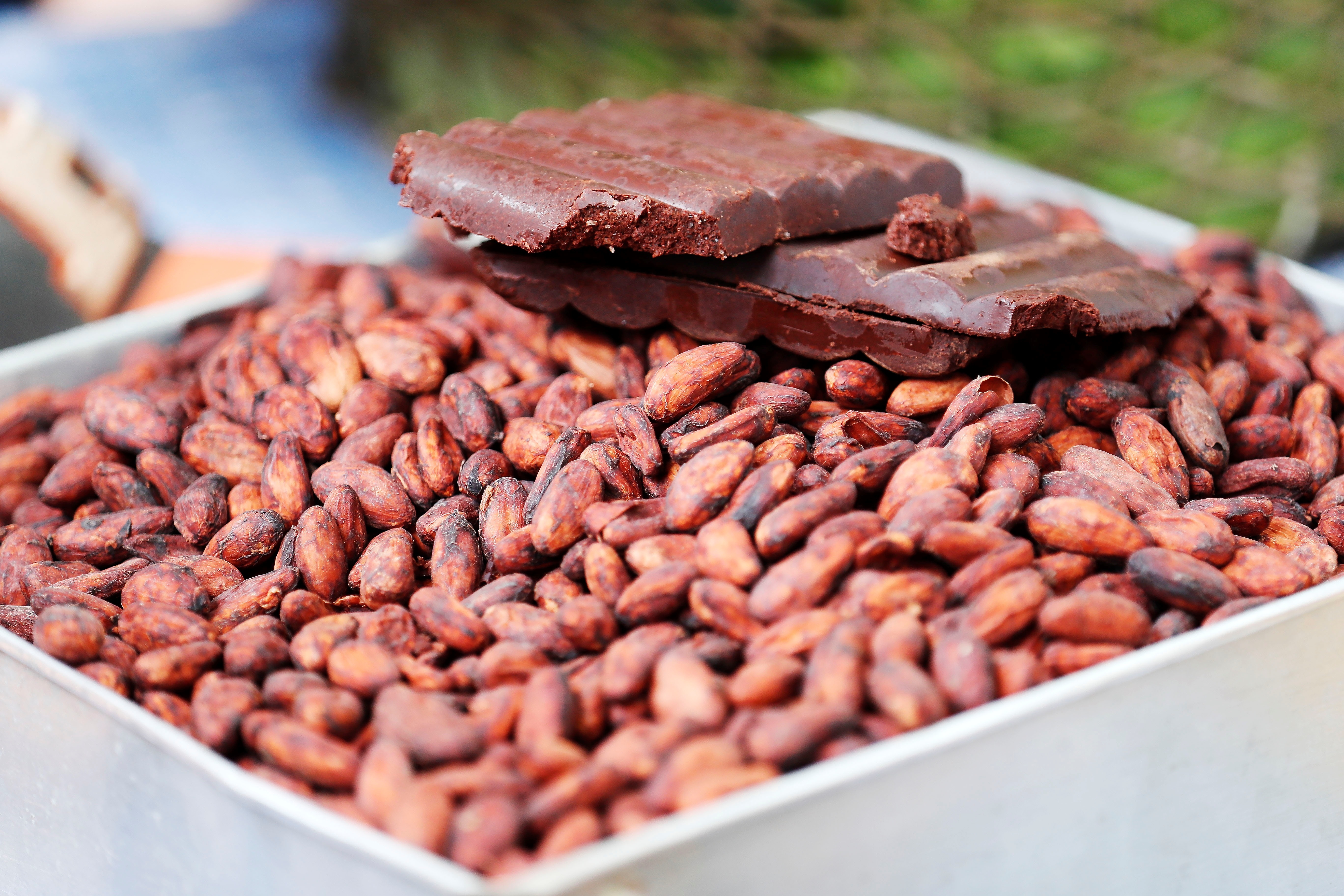 Los expertos aseguran que las versiones naturales y puras del cacao son las mejores para acelerar el metabolismo
EFE/Carlos Ortega/Archivo
