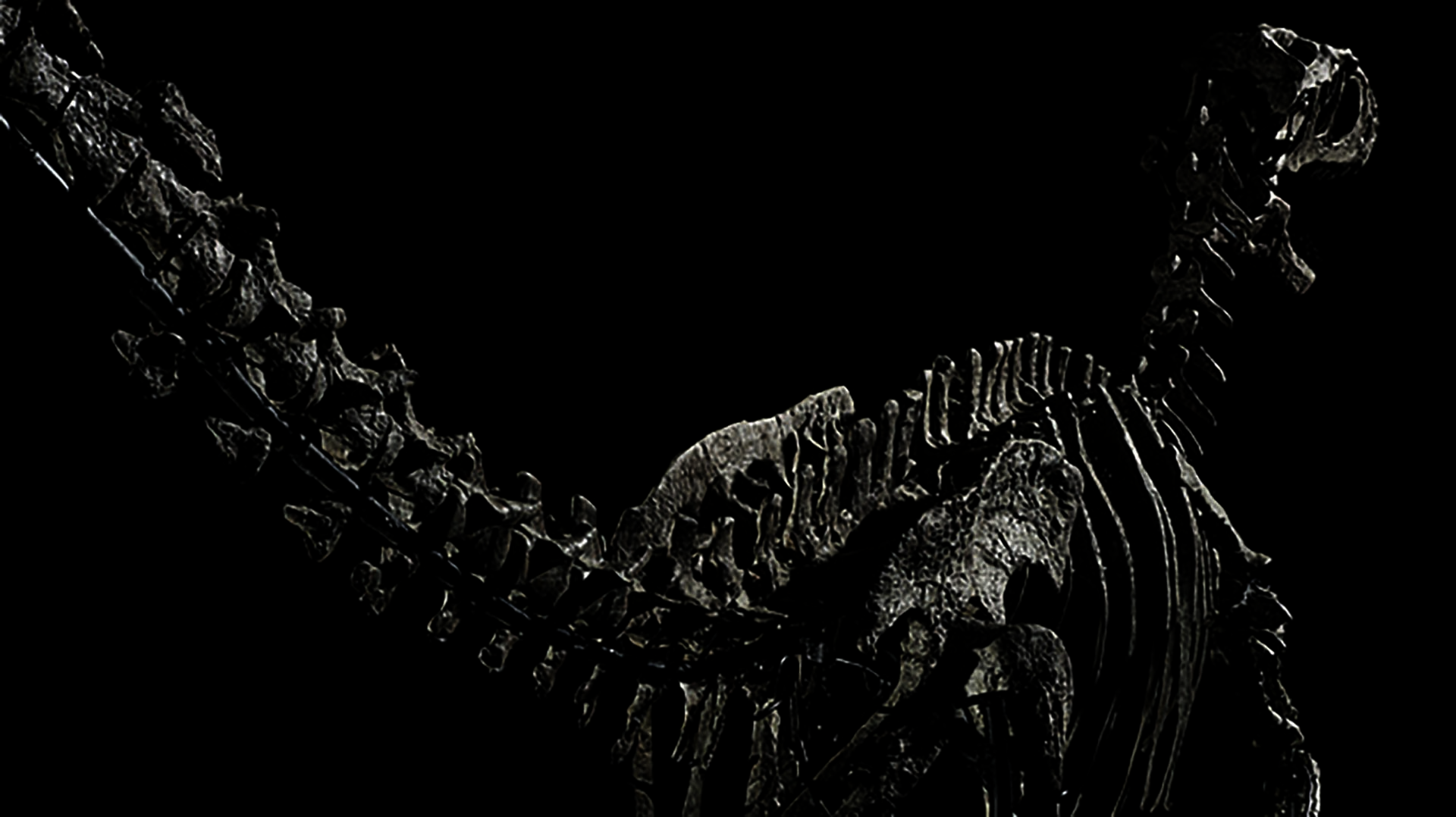 Subastaron por 12,4 millones de dólares el esqueleto del dinosaurio que inspiró a los velociraptors