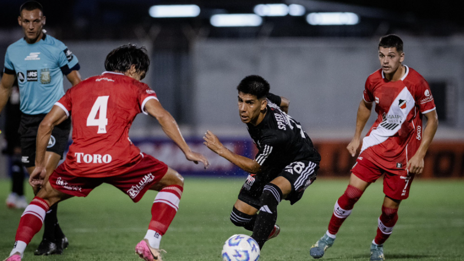 El enigma del pelo de los gatos: la ciencia reveló por qué parecen veganos aunque son carnívoros