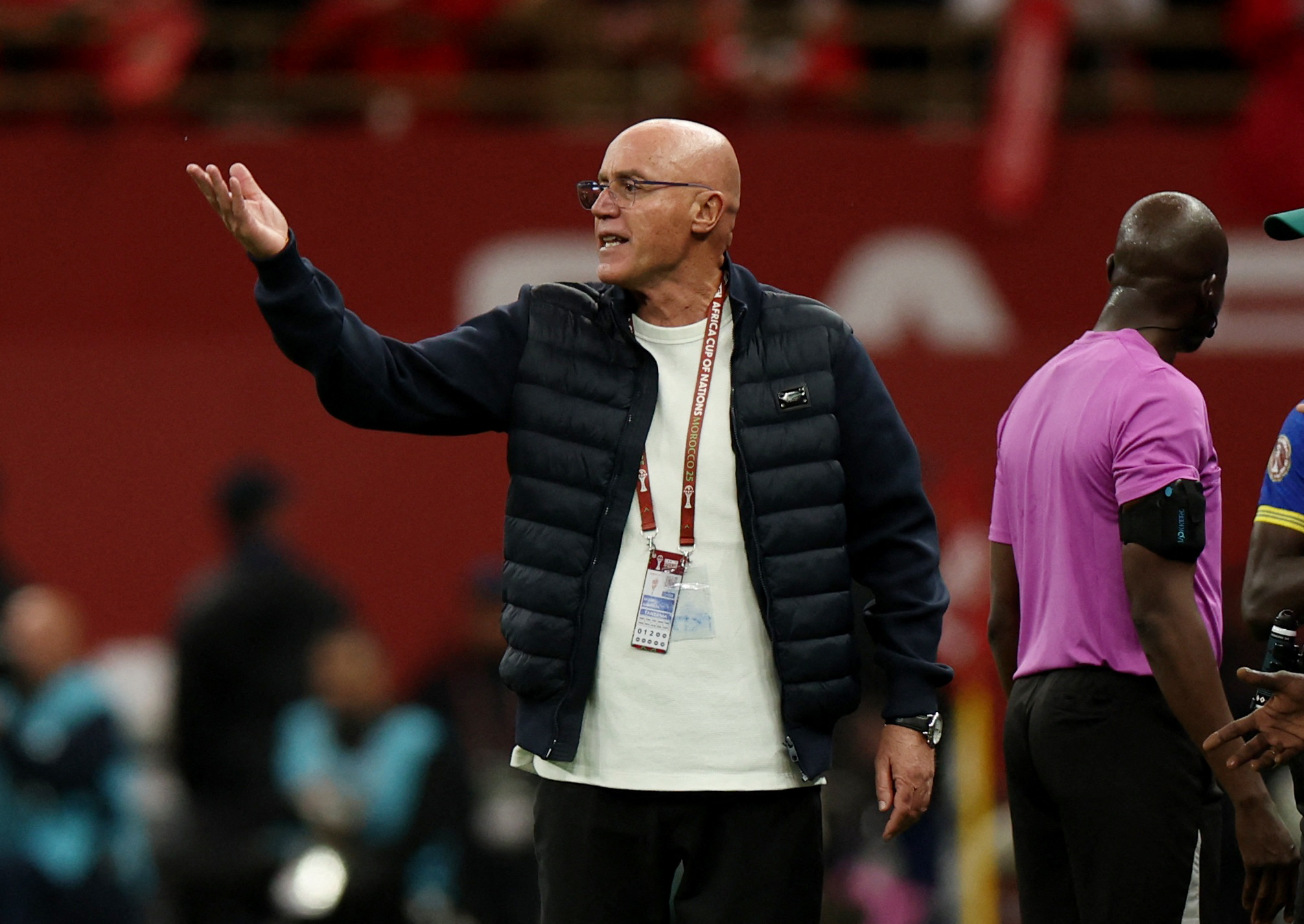 Plantar robles y otros árboles nativos aumenta la supervivencia de aves urbanas