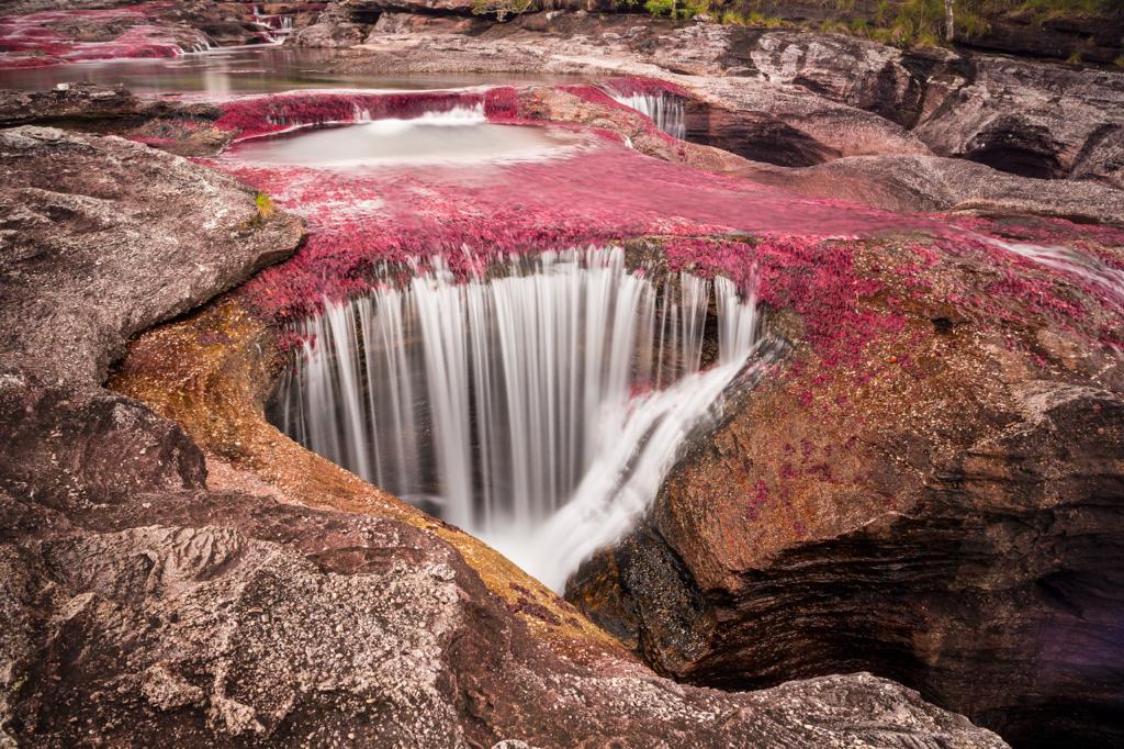 En la imagen Caño Cristales, también conocido como el río de los 7 colores, ubicado en la Macarena, Meta. Foto: Parques Nacionales Naturales.