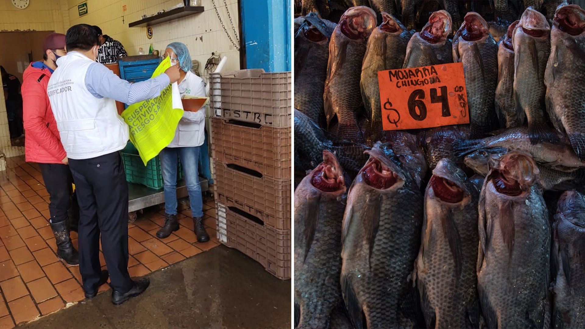 Operativo en Cuaresma: destruyeron pescados y mariscos en malas condiciones  en la Nueva Viga - Infobae