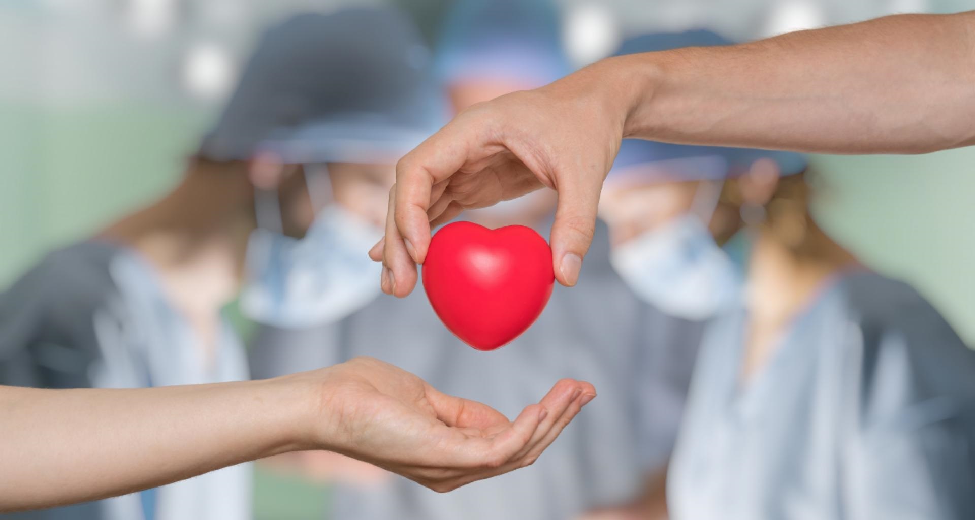 Día Nacional de la Donación de Órganos: ya se realizaron más de 1500 trasplantes en 2023