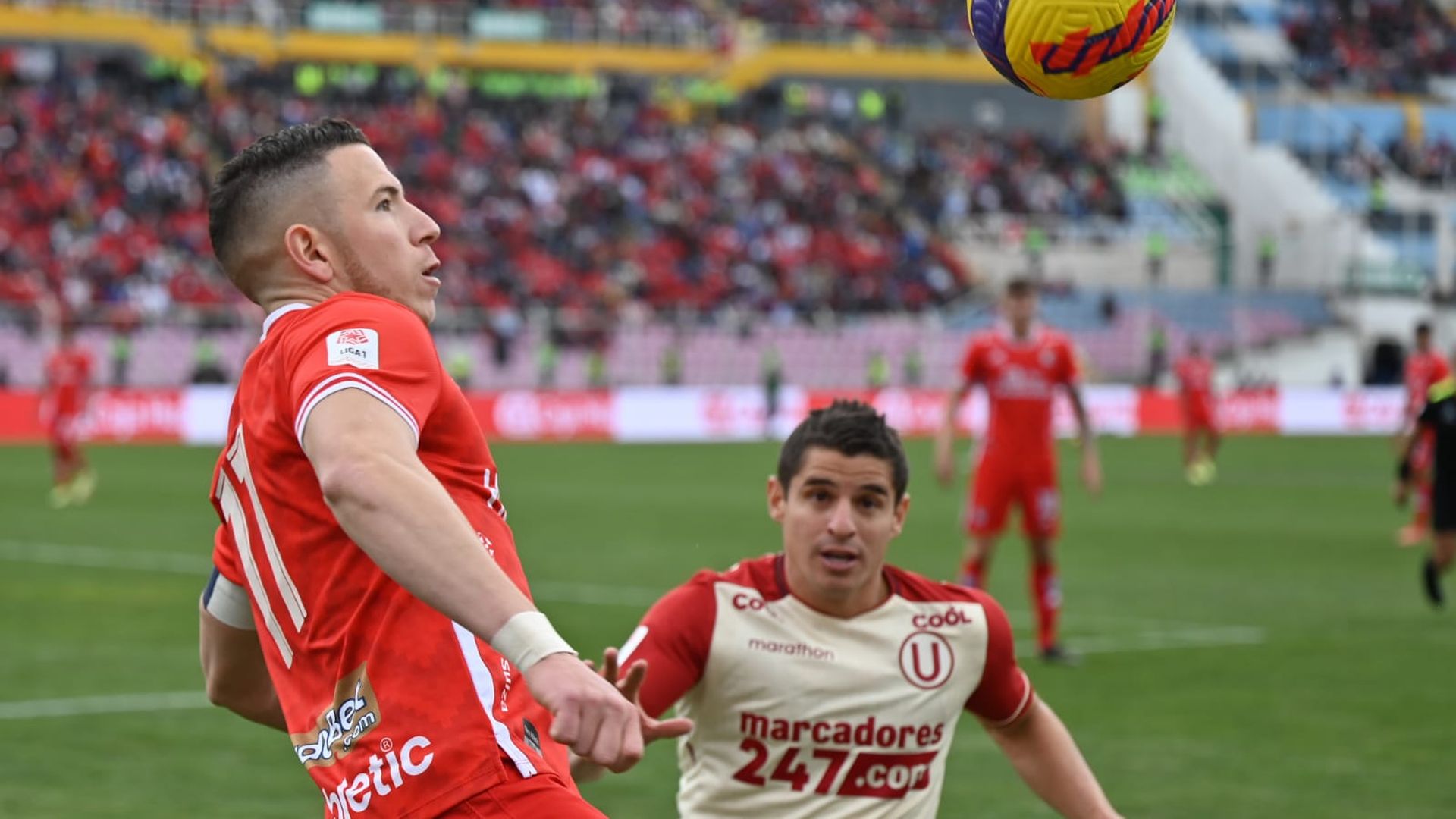 Universitario lost 1-0 to Cienciano in their last match for league 1