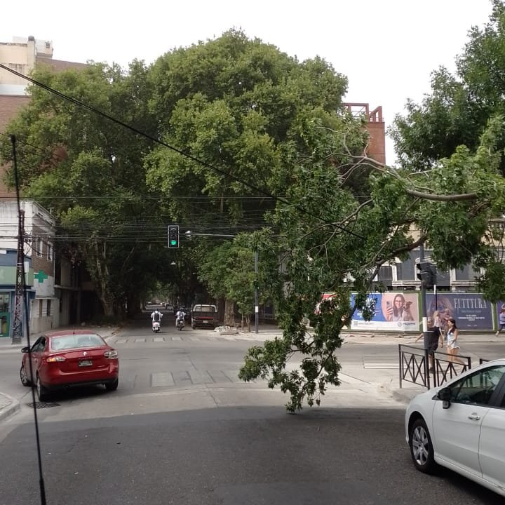 La carta de Paolo Rocca tras el conflicto con el Gobierno por la licitación del gasoducto