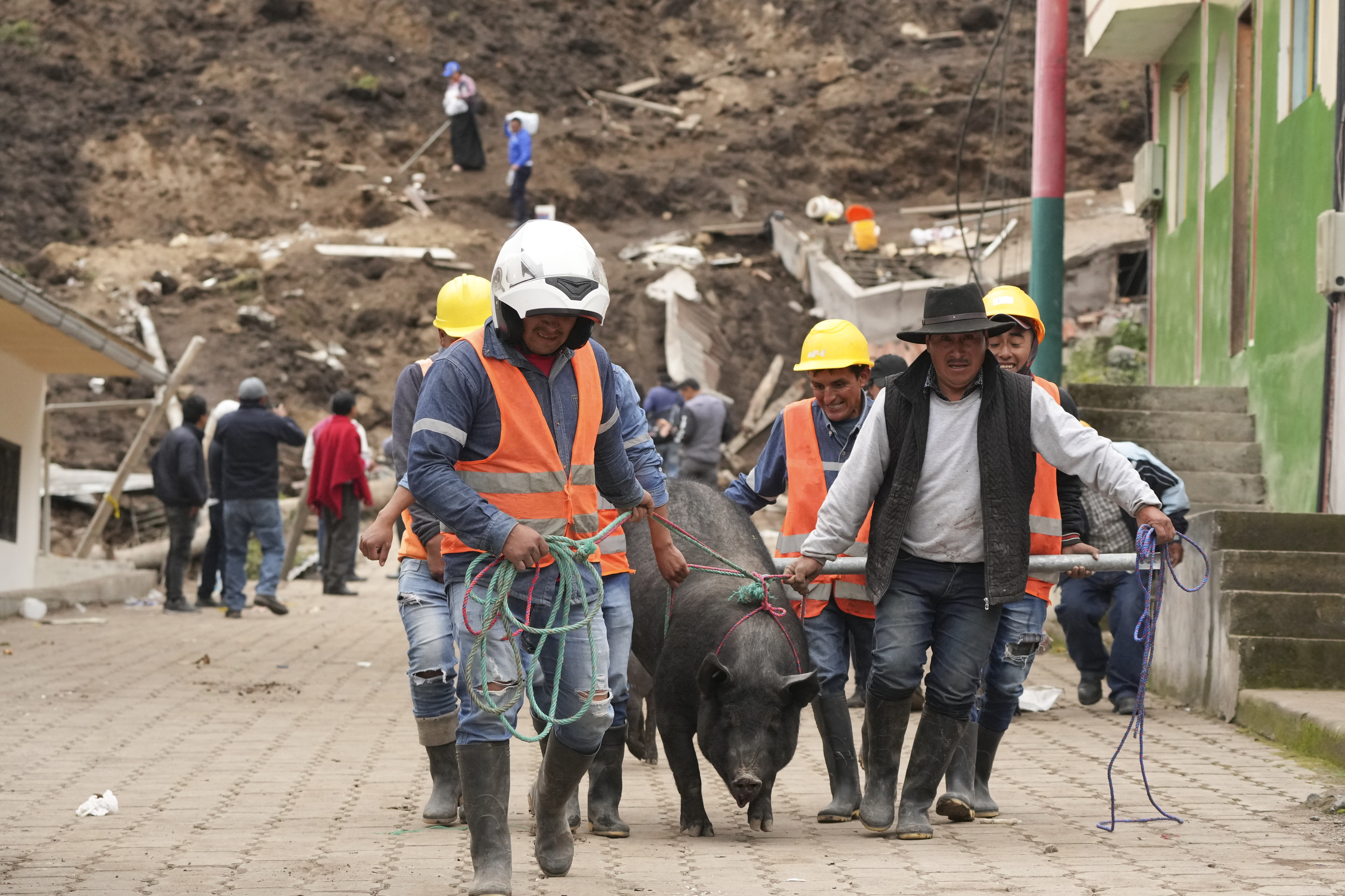 Residentes y rescatistas llevan a un cerdo rescatado tras el mortífero alud, causado por las intensas lluvias, que enterró decenas de viviendas en Alausí, Ecuador, el lunes 27 de marzo de de 2023. (AP Foto/Dolores Ochoa)