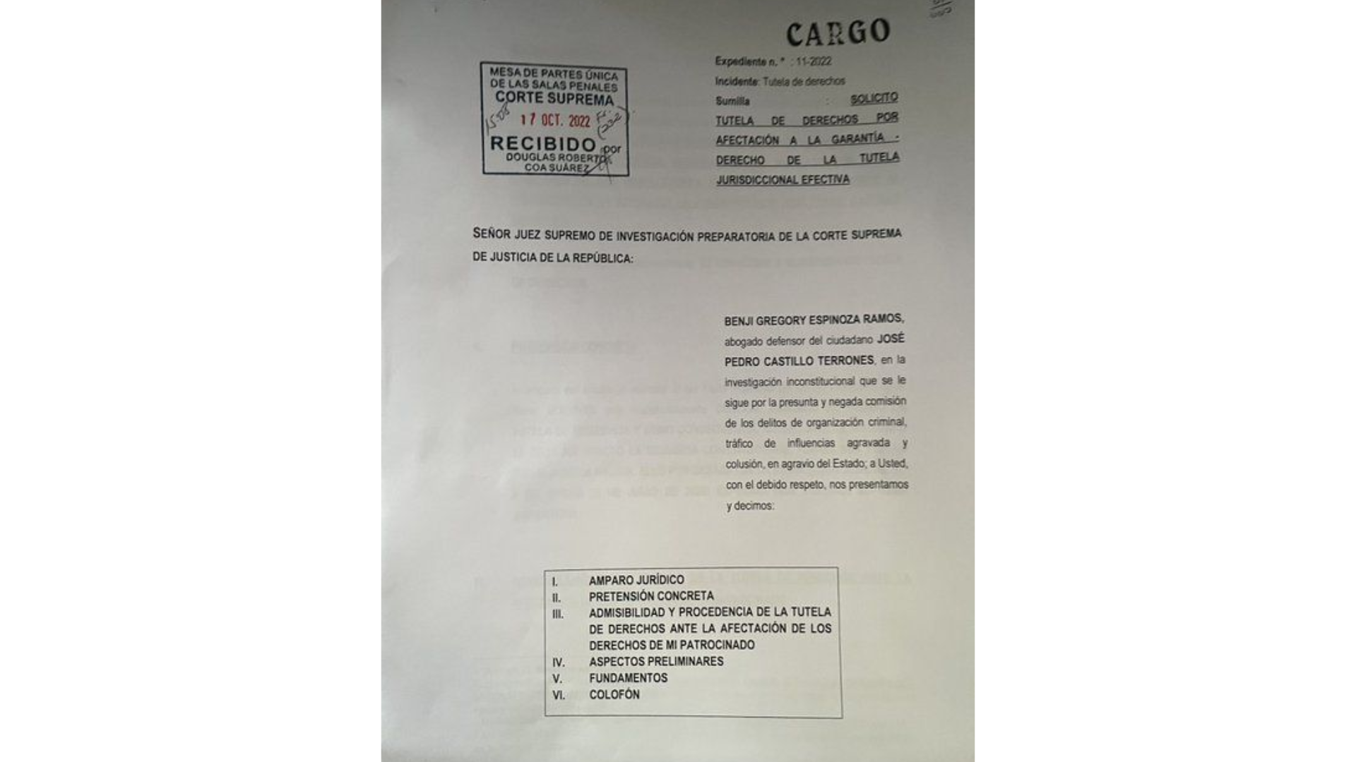 Solicitud de tutela de derecho a favor del presidente Pedro Castillo.