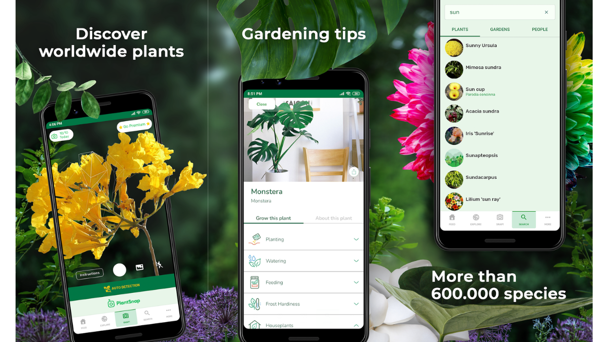 Aplicación para identificar plantas y explorar lugares para conocer cuáles están cerca.