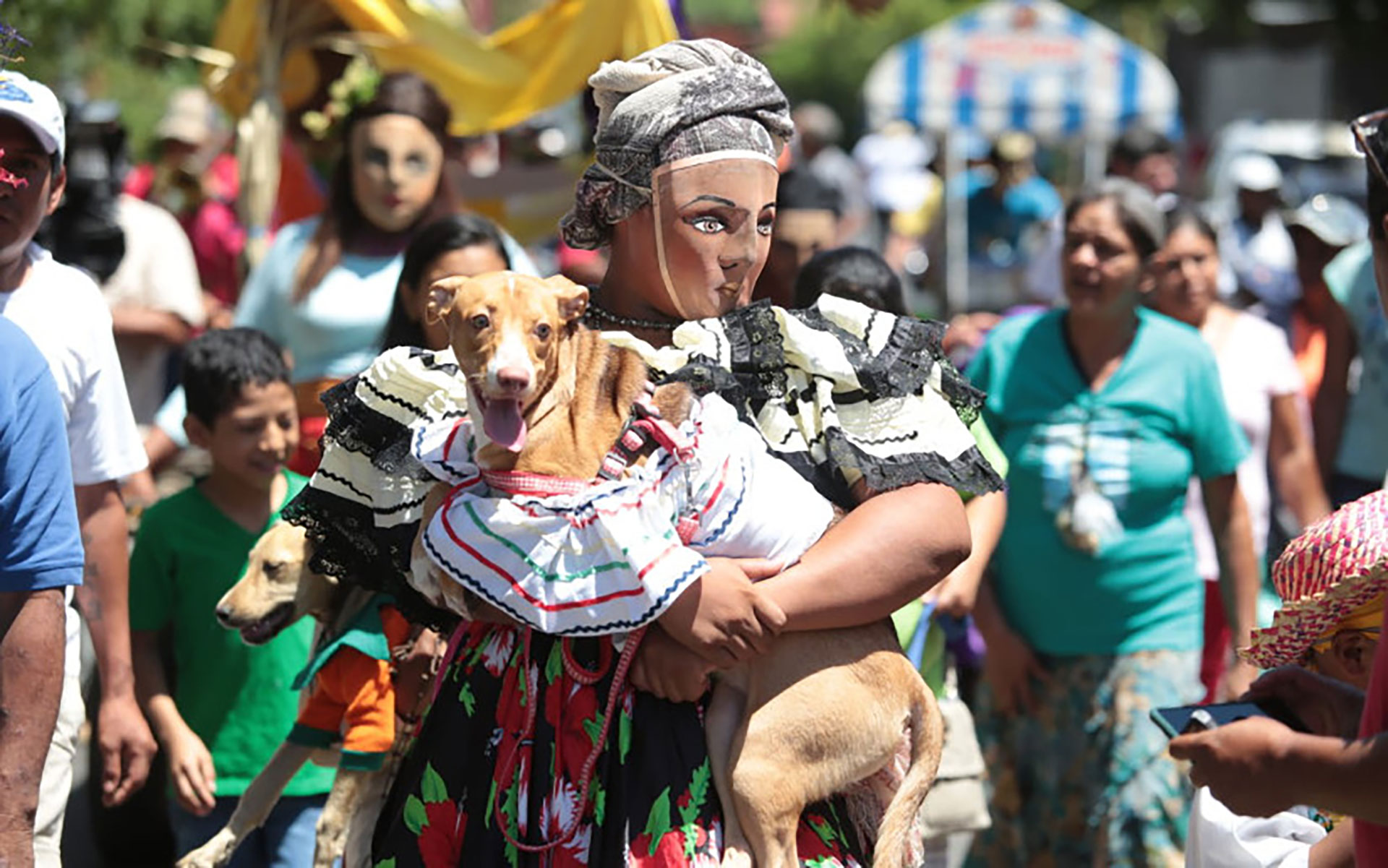 La pintoresca procesión de San Lázaro, en Monimbó, Masaya, en la que los devotos llevan a sus perros con sus mejores galas, tampoco se permitió este año. (Foto archivo 19 Digital)