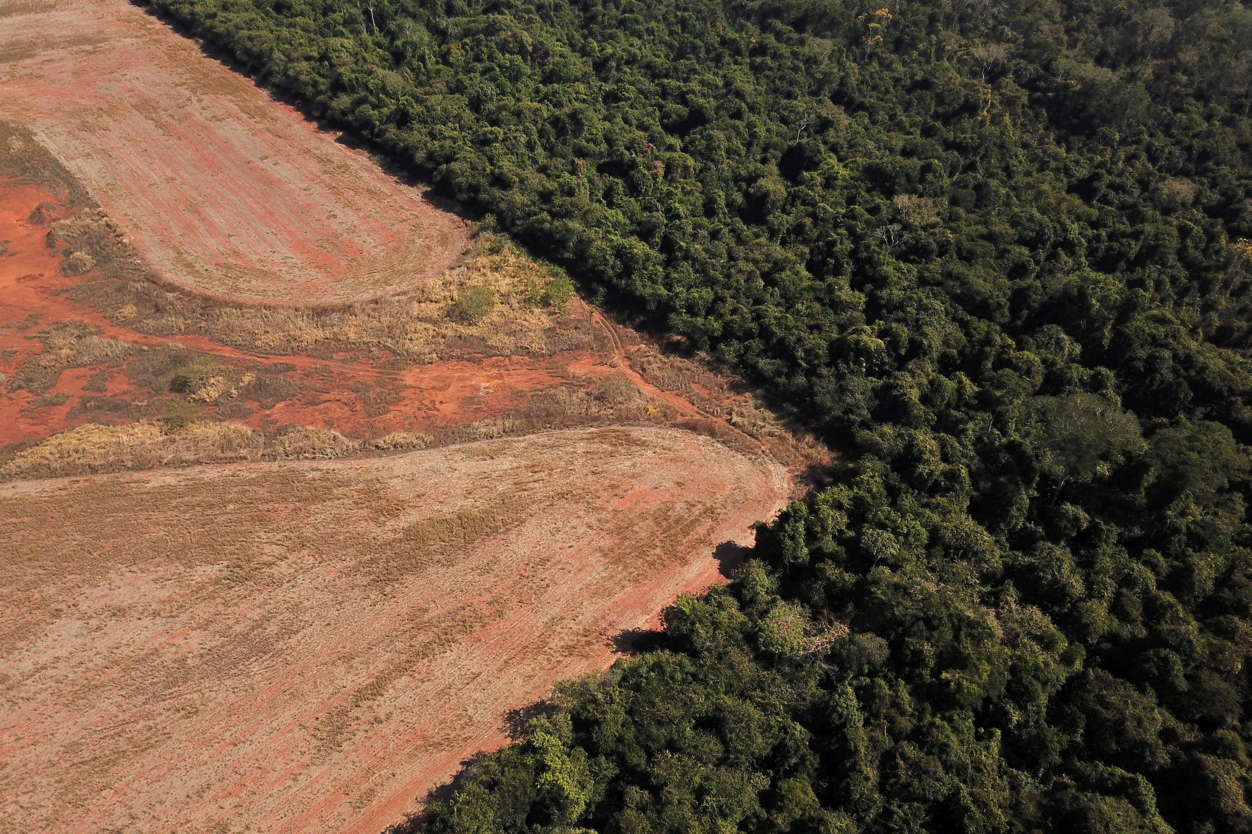 La Amazonía brasileña tiene más de 800 pistas clandestinas en tierras indígenas