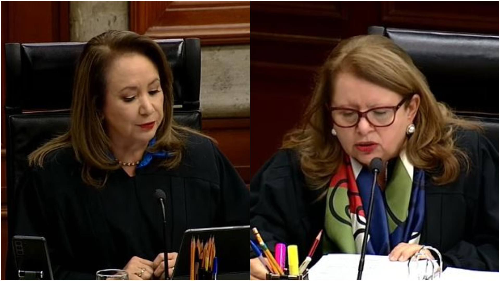 Las ministras Yazmín Esquivel y Loretta Ortiz votaron en contra de inaplicar las medidas; ambas afirmaron que la SCJN no está capacitada para dicha tarea.