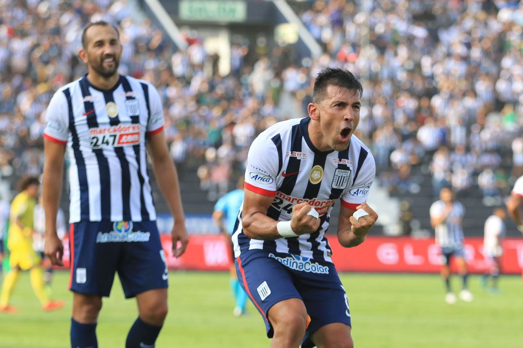 Edgar Benítez no seguiría en Alianza Lima para el Torneo Clausura - Infobae