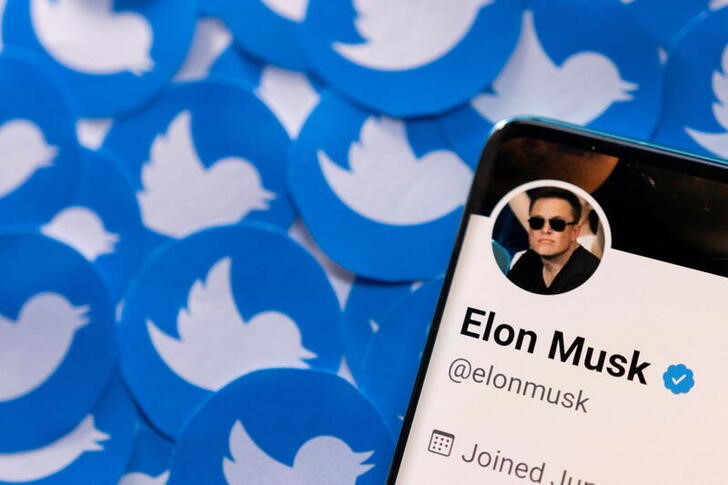 Elon Musk's Twitter profile on a smartphone (REUTERS/Dado Ruvic)
