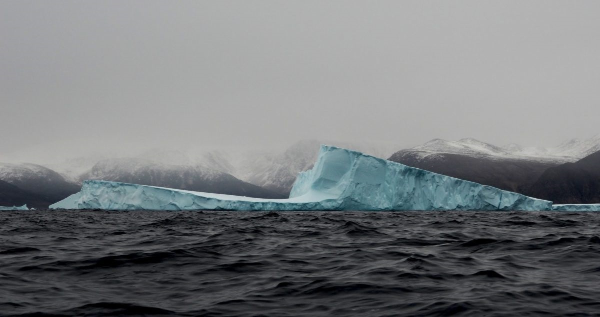 Bloki lodu morskiego Arktyki (Źródło: LAUREN CANDLISH)