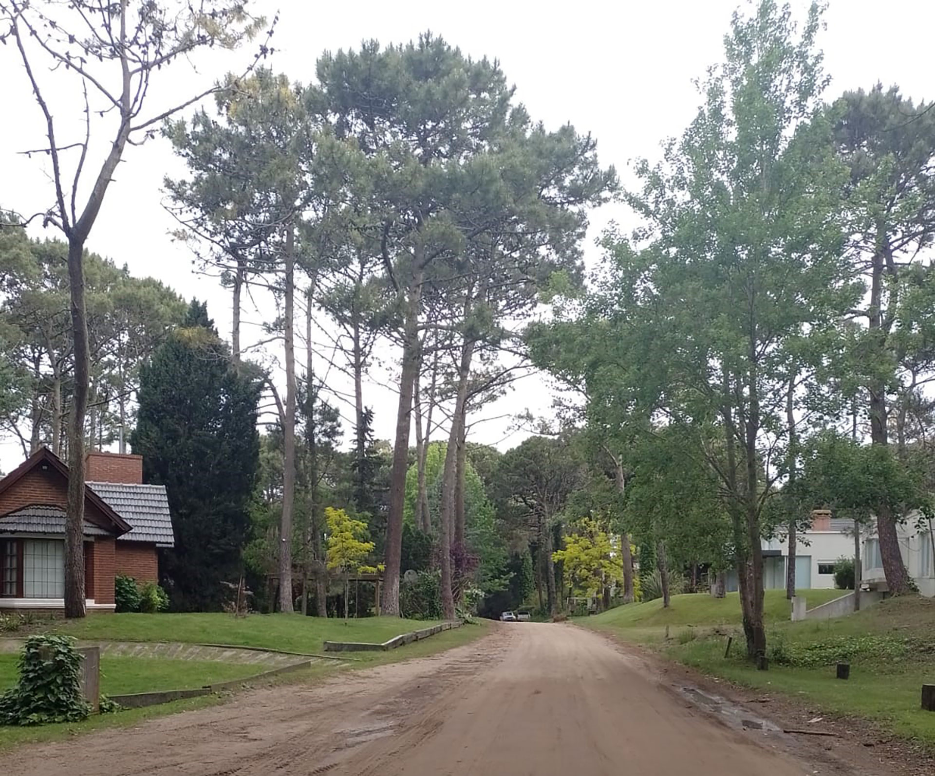 La calle Faisán, una de las más simbólicas de Cariló