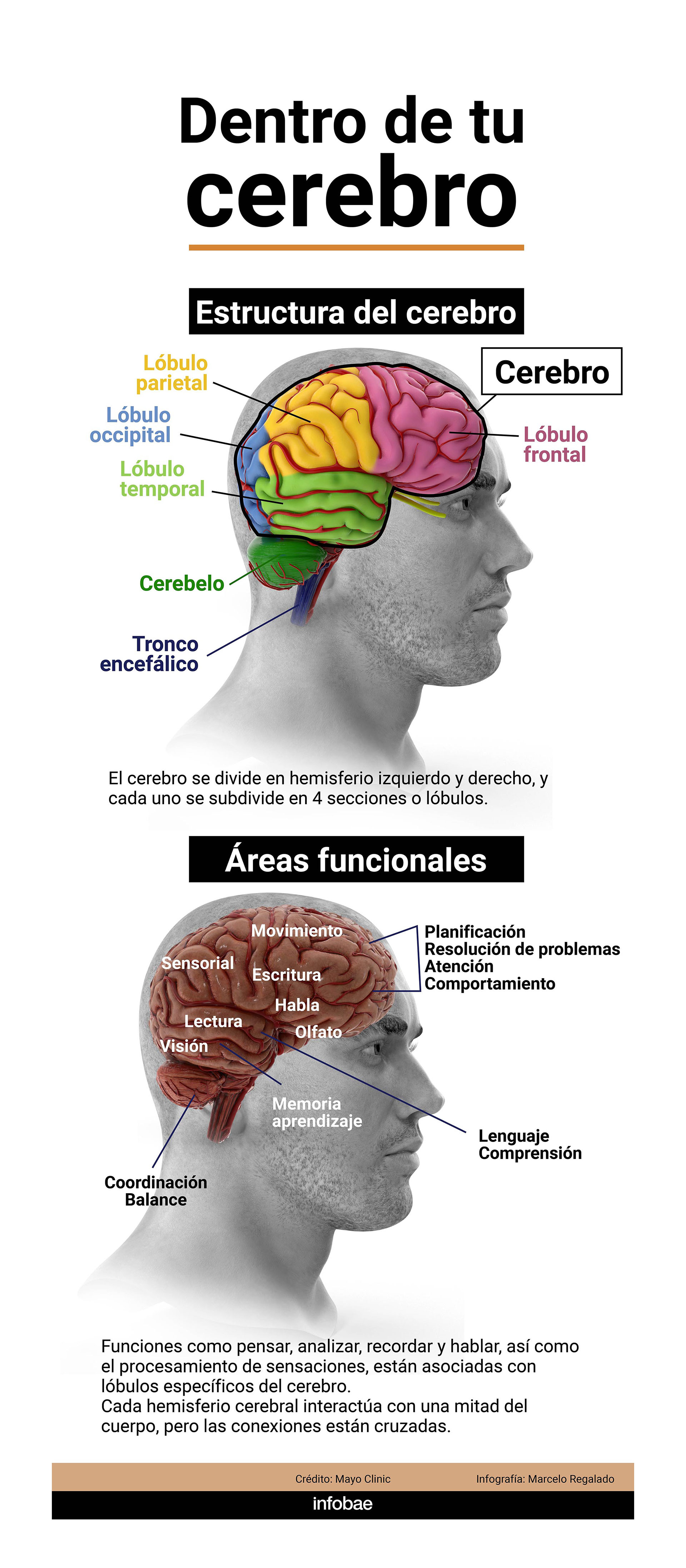 infografia