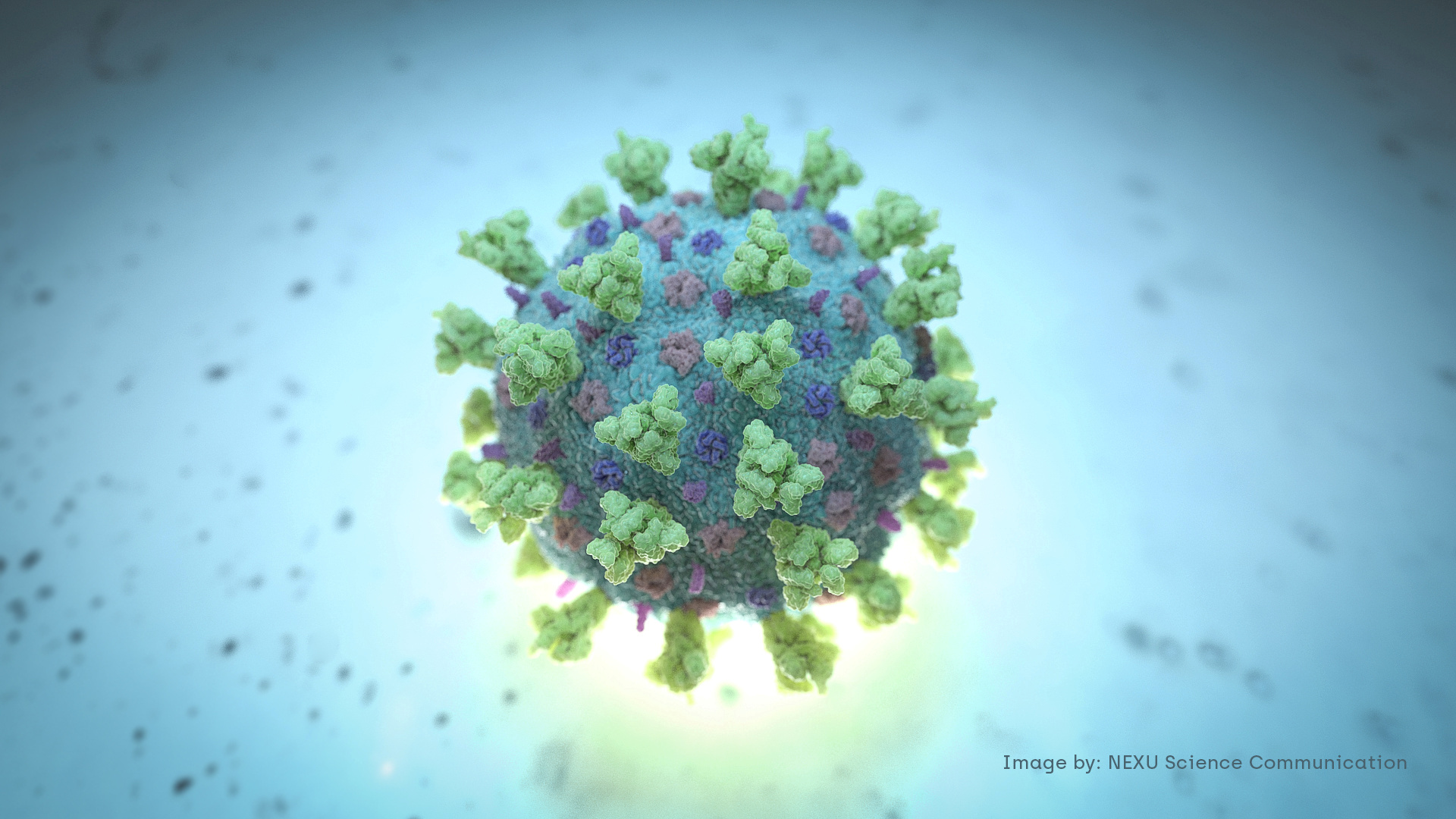 Este descubrimiento sería el inicio de un tratamiento farmacológico contra el virus (Foto: REUTERS/MANDATORY CREDIT)