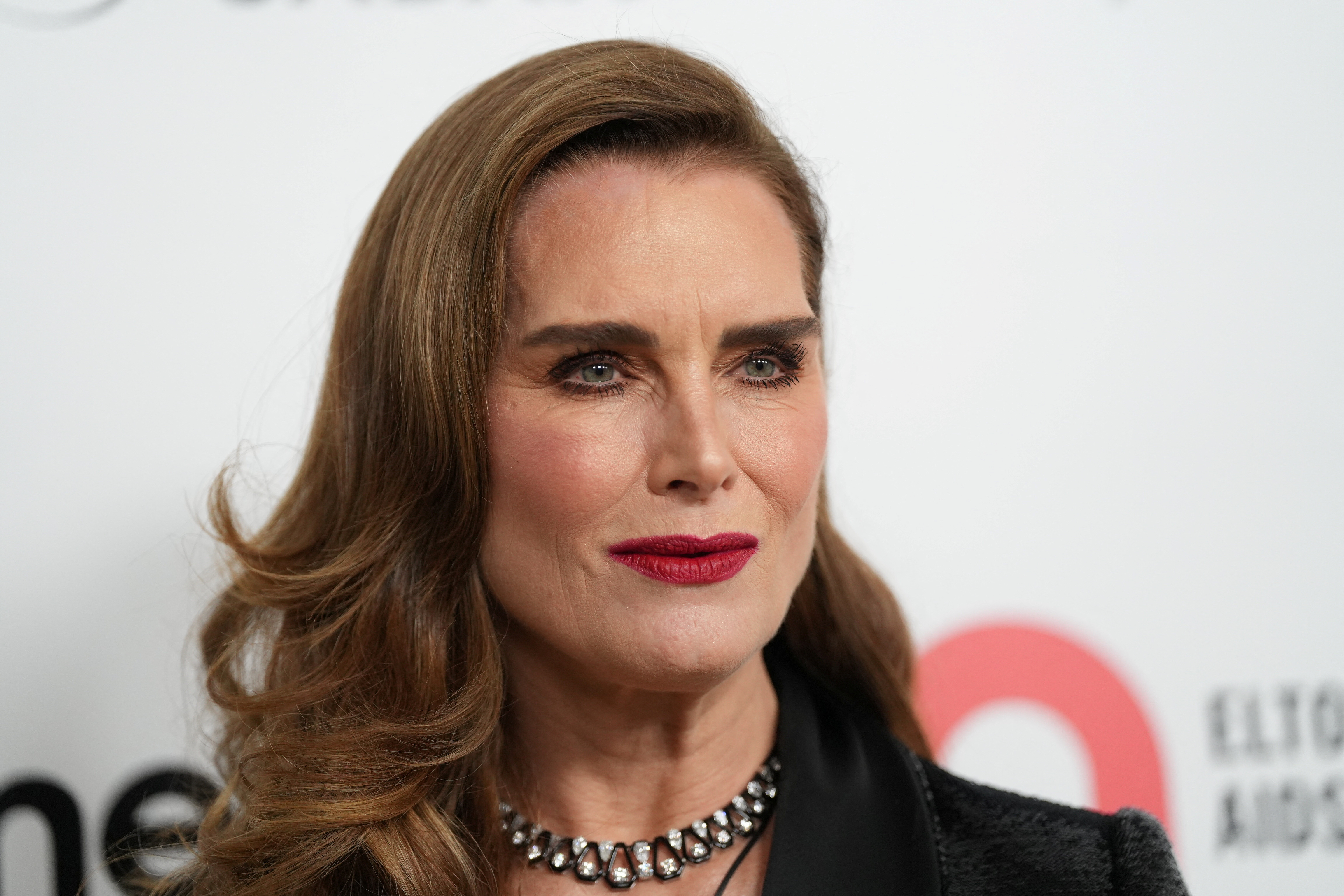 Los secretos de Brooke Shields: de las fotos para Playboy a los 10 años a  la difícil relación con su madre - Infobae