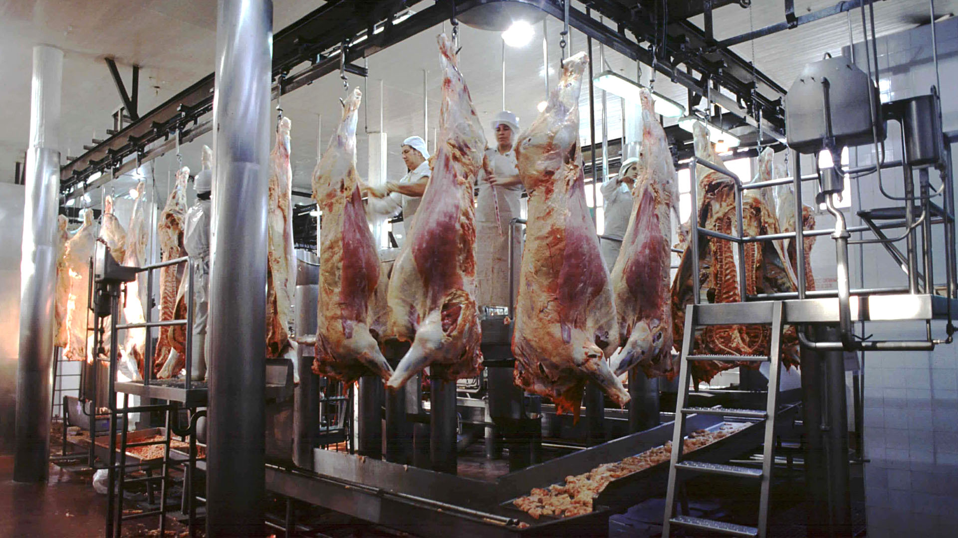 Aseguran que la adecuación o “recuperación” de los precios de la carne vacuna, podría registrarse sobre las fiestas de fin de año. (NA)