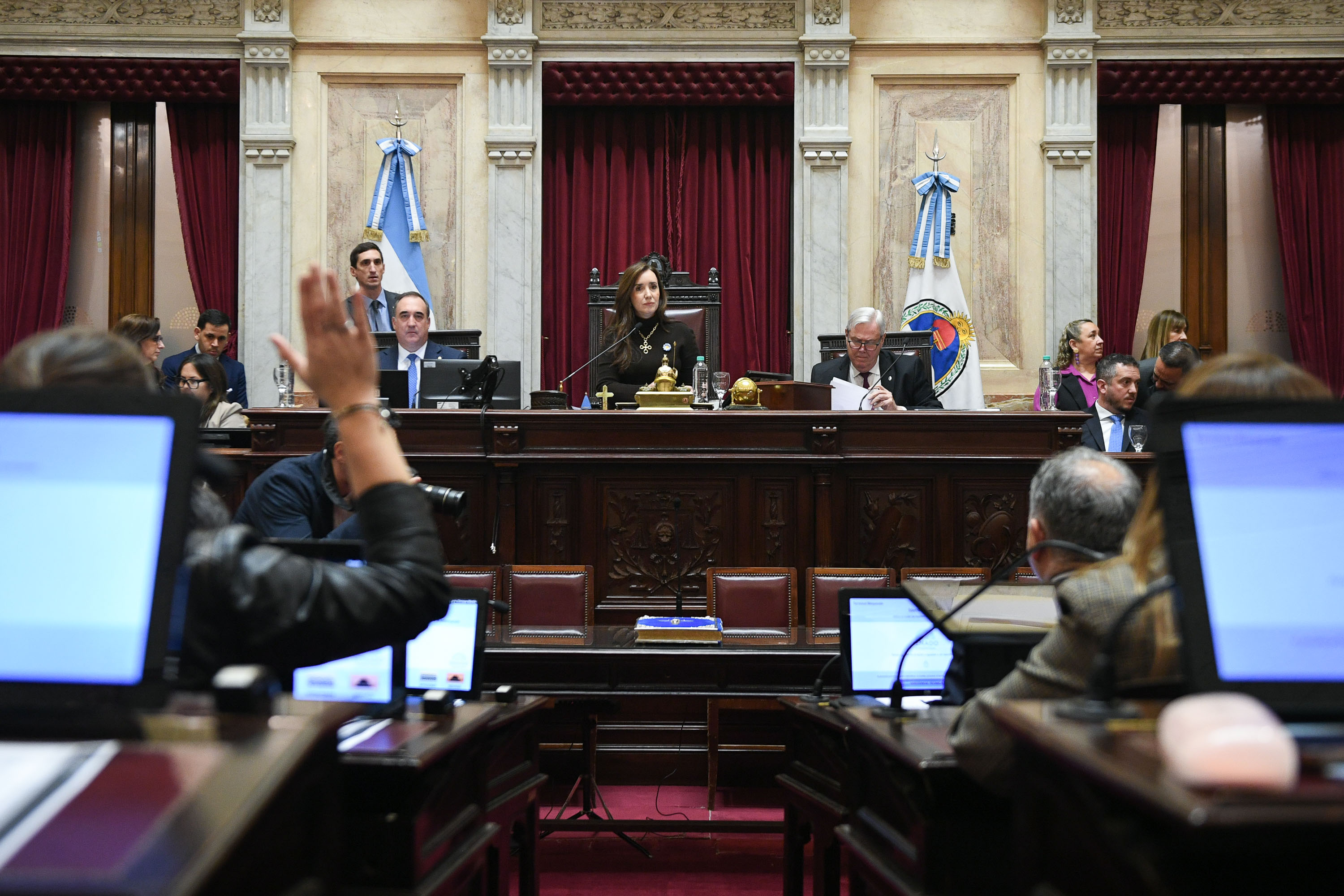 El Senado prorrog&oacute; el programa nacional de entrega de armas voluntaria hasta diciembre de 2027