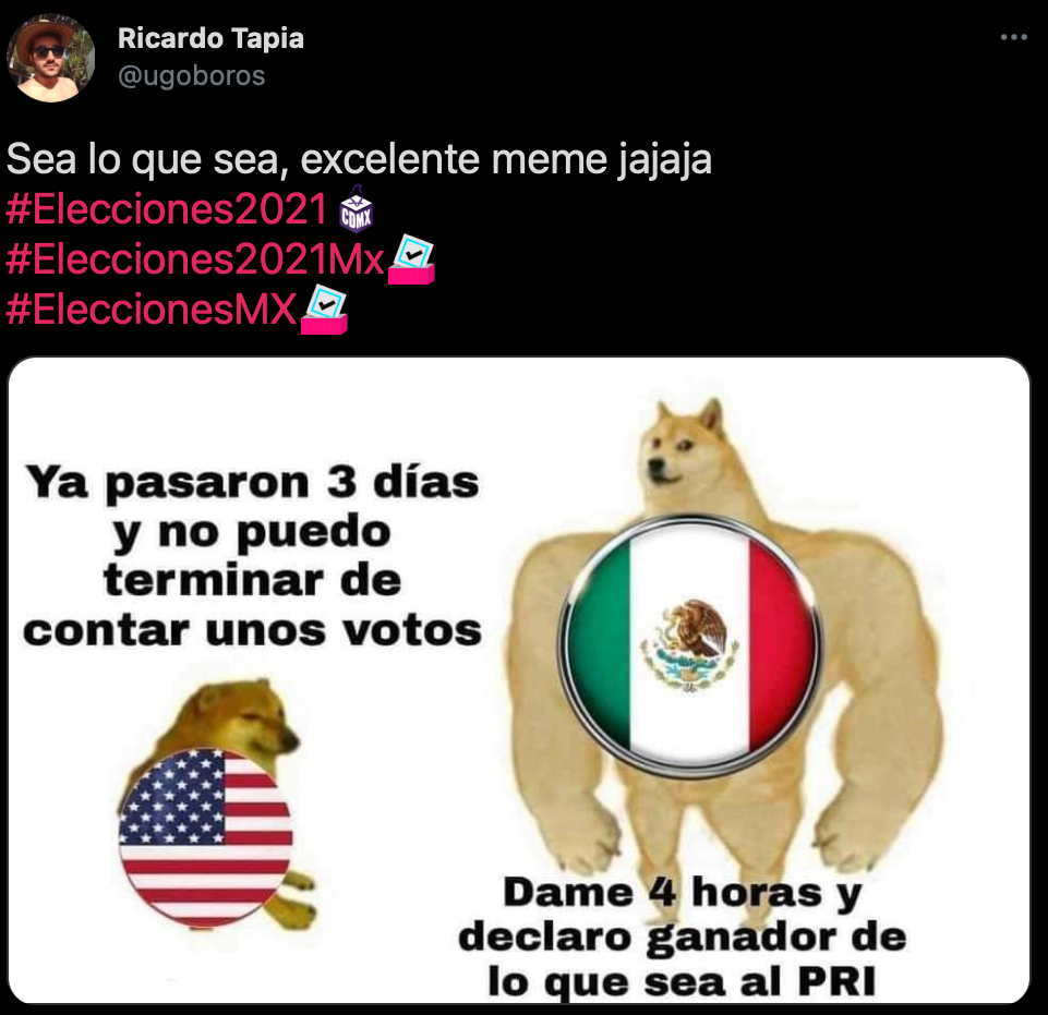 Elecciones 21 Los Mejores Memes Del Dia De Votaciones Infobae