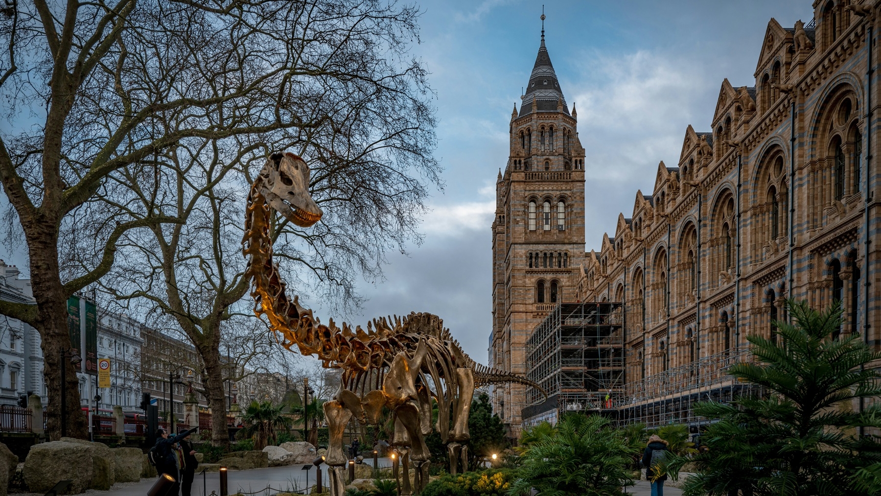 El auge del Museo de Historia Natural de Londres: acceso gratuito, noches tem&aacute;ticas y la revoluci&oacute;n del Urban Nature Project 