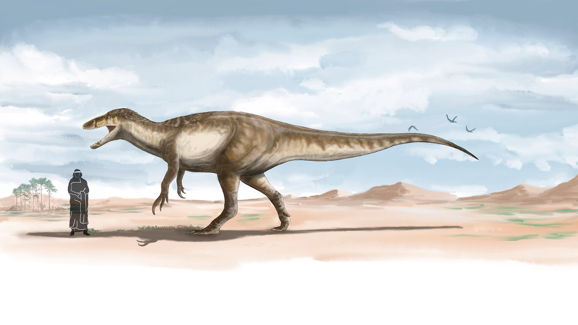 Cómo era el dinosaurio carnívoro más grande conocido hasta el momento que  fue descubierto por paleontólogos del CONICET - Infobae
