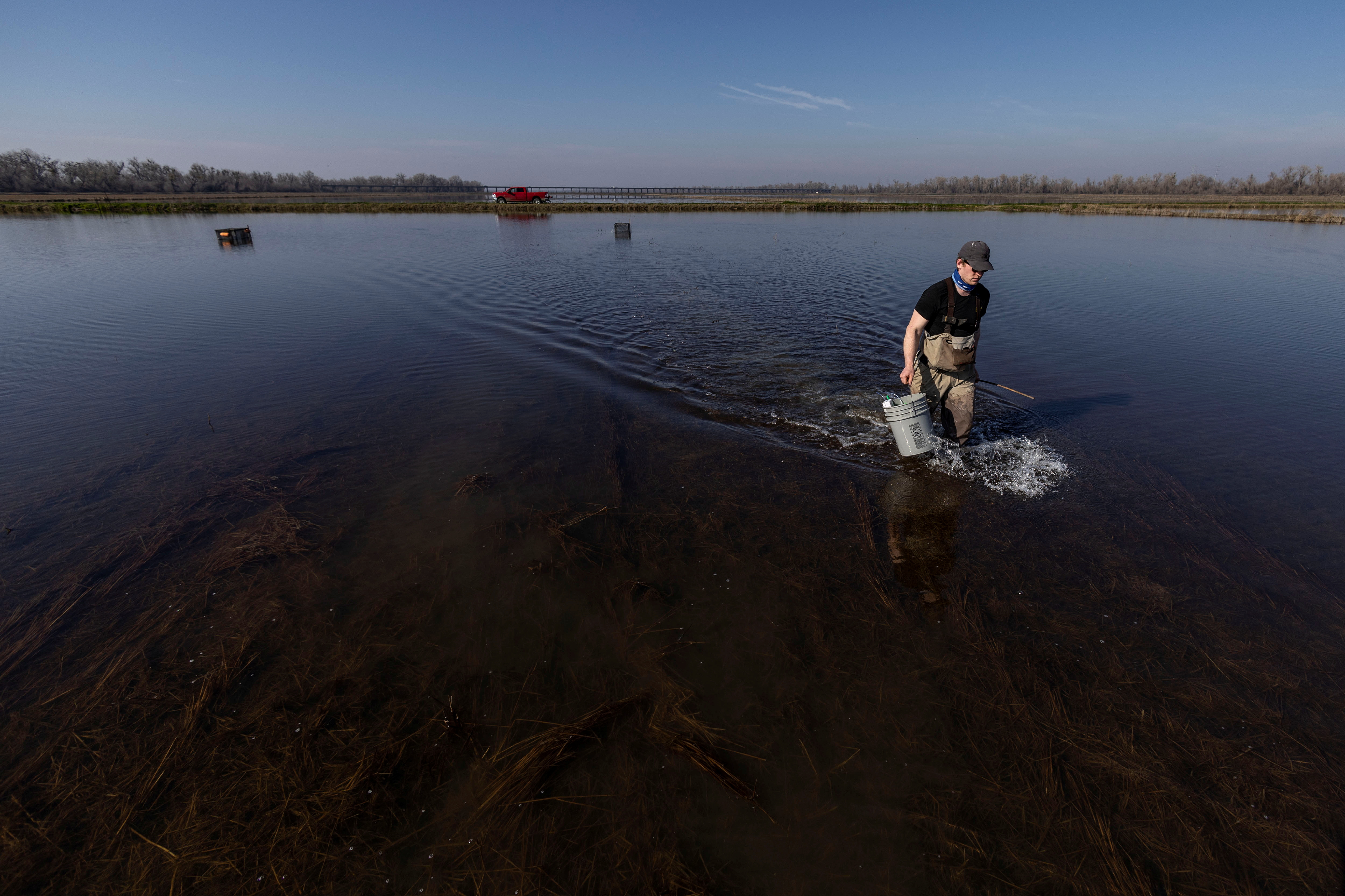 Un campo de arroz inundado es visto en Robbins, California, en febrero último (REUTERS/Carlos Barria)