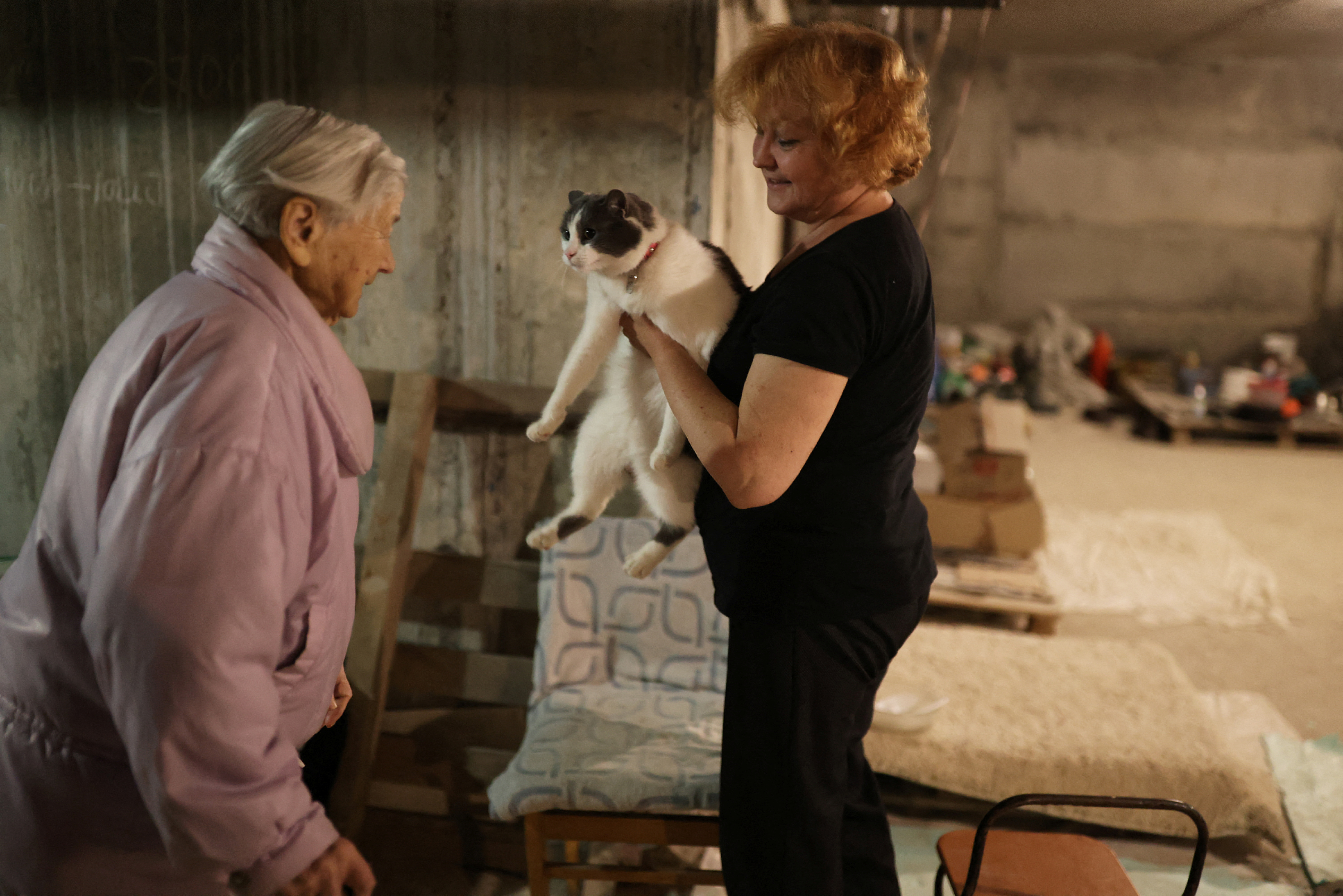 Se ha comprobado que tener un gato reduce el estrés (REUTERS)