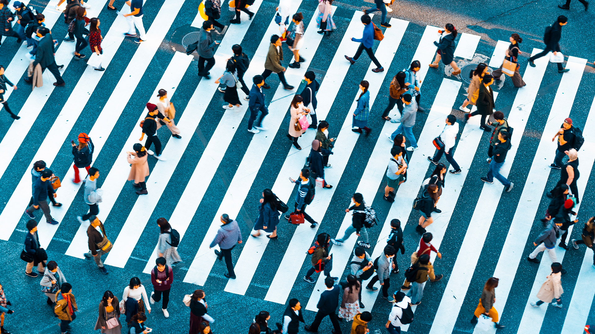 Shibuya crossing in known to be the world's busiest pedestrian crossing