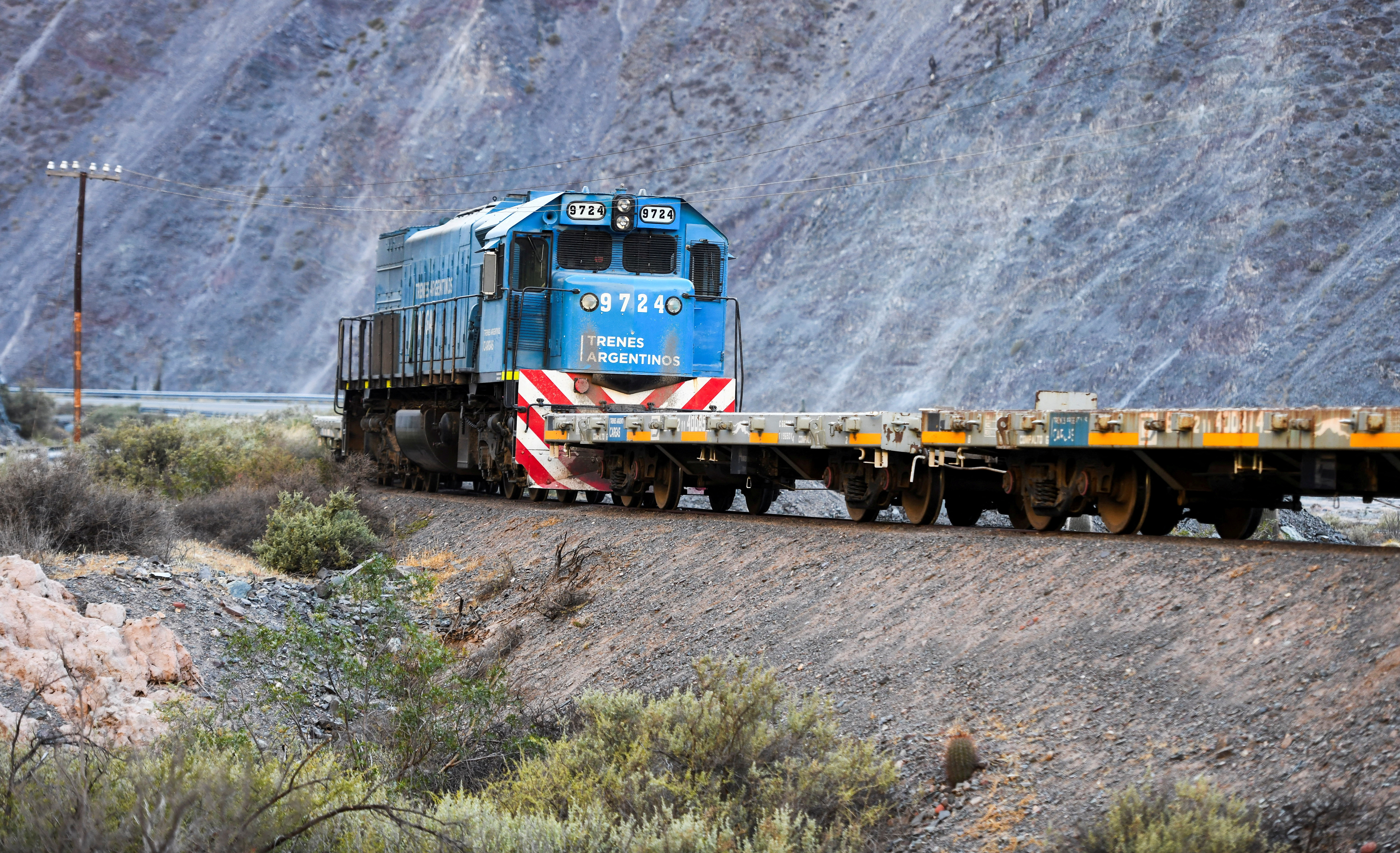 Mientras avanza en la privatizaci&oacute;n del Belgrano Cargas, el Gobierno habilit&oacute; el RIGI para obras ferroviarias y tecnolog&iacute;a